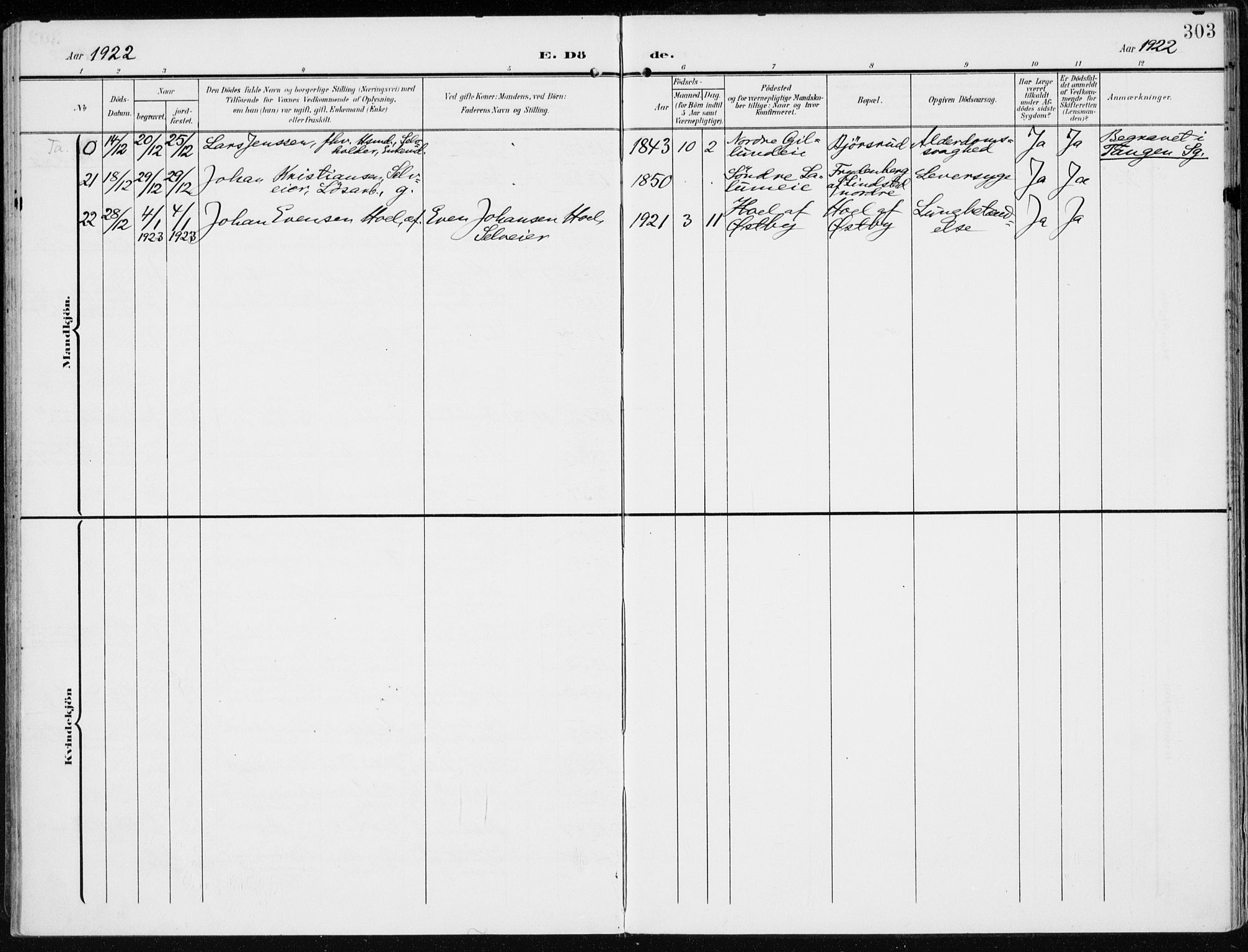 Stange prestekontor, AV/SAH-PREST-002/K/L0024: Parish register (official) no. 24, 1906-1922, p. 303