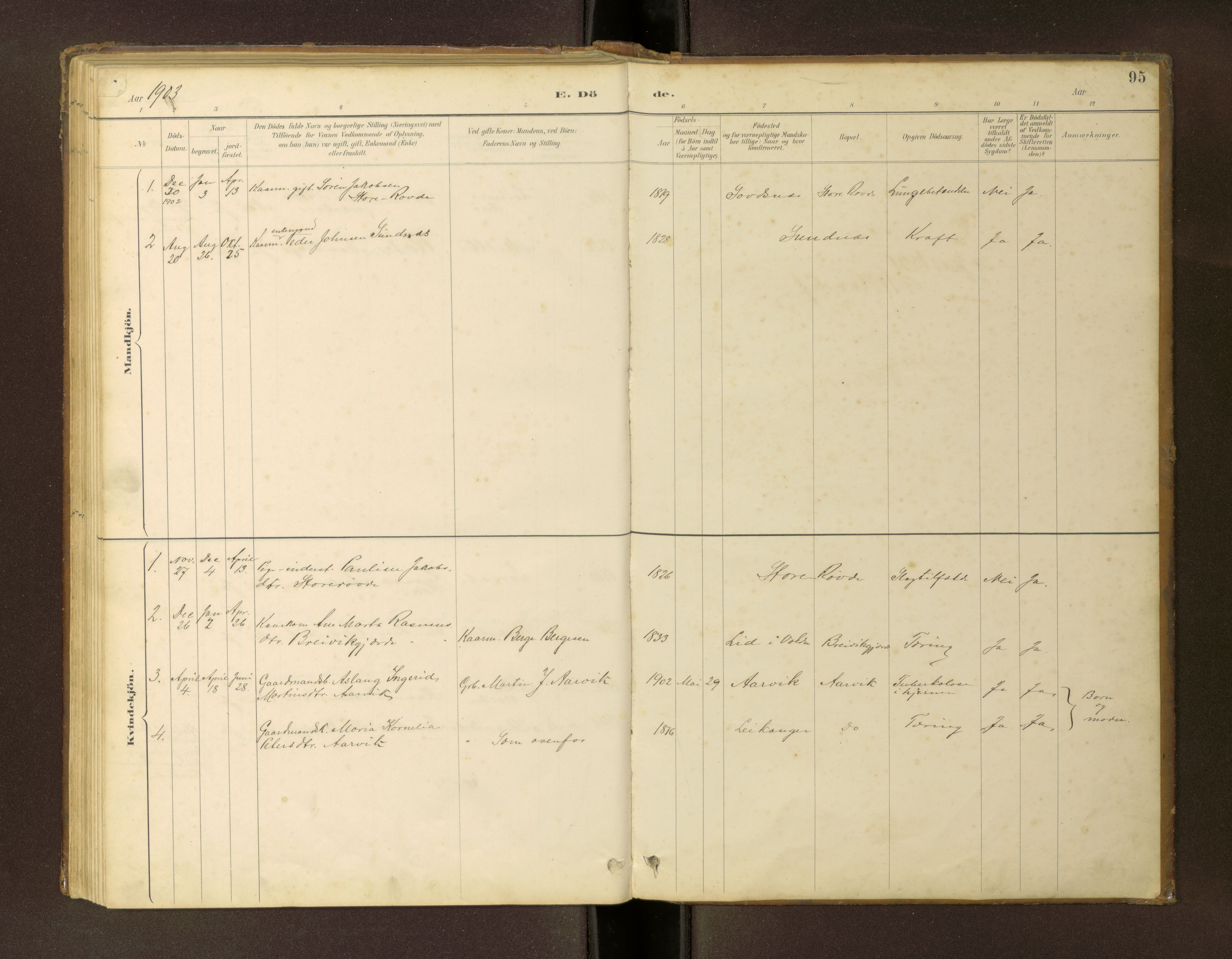 Ministerialprotokoller, klokkerbøker og fødselsregistre - Møre og Romsdal, SAT/A-1454/504/L0060: Parish register (copy) no. 504C02, 1884-1903, p. 95