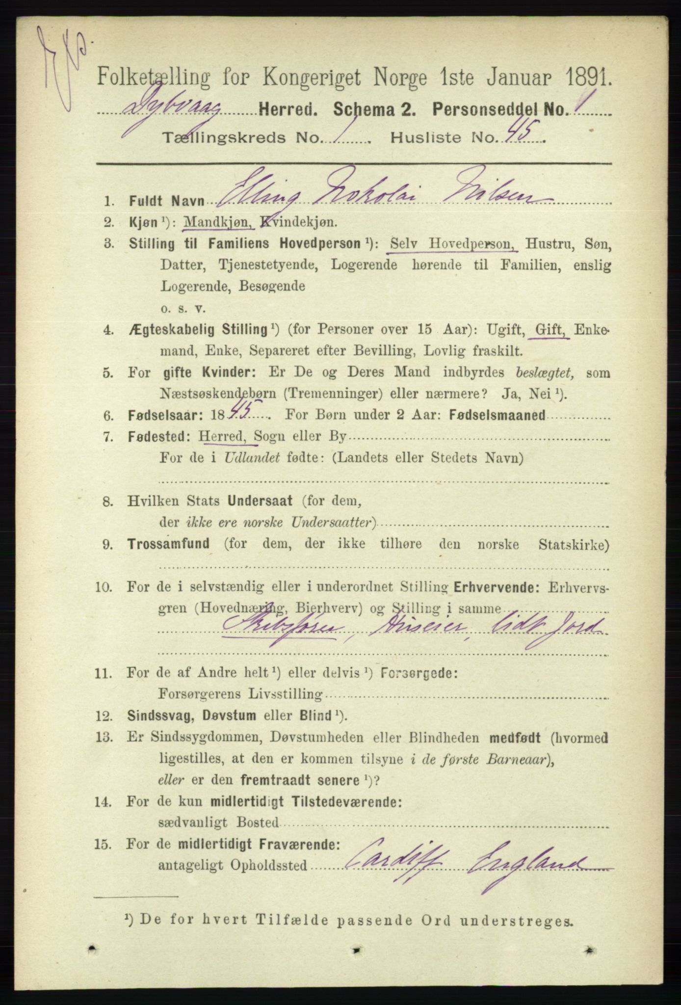 RA, Census 1891 for Nedenes amt: Gjenparter av personsedler for beslektede ektefeller, menn, 1891, p. 177