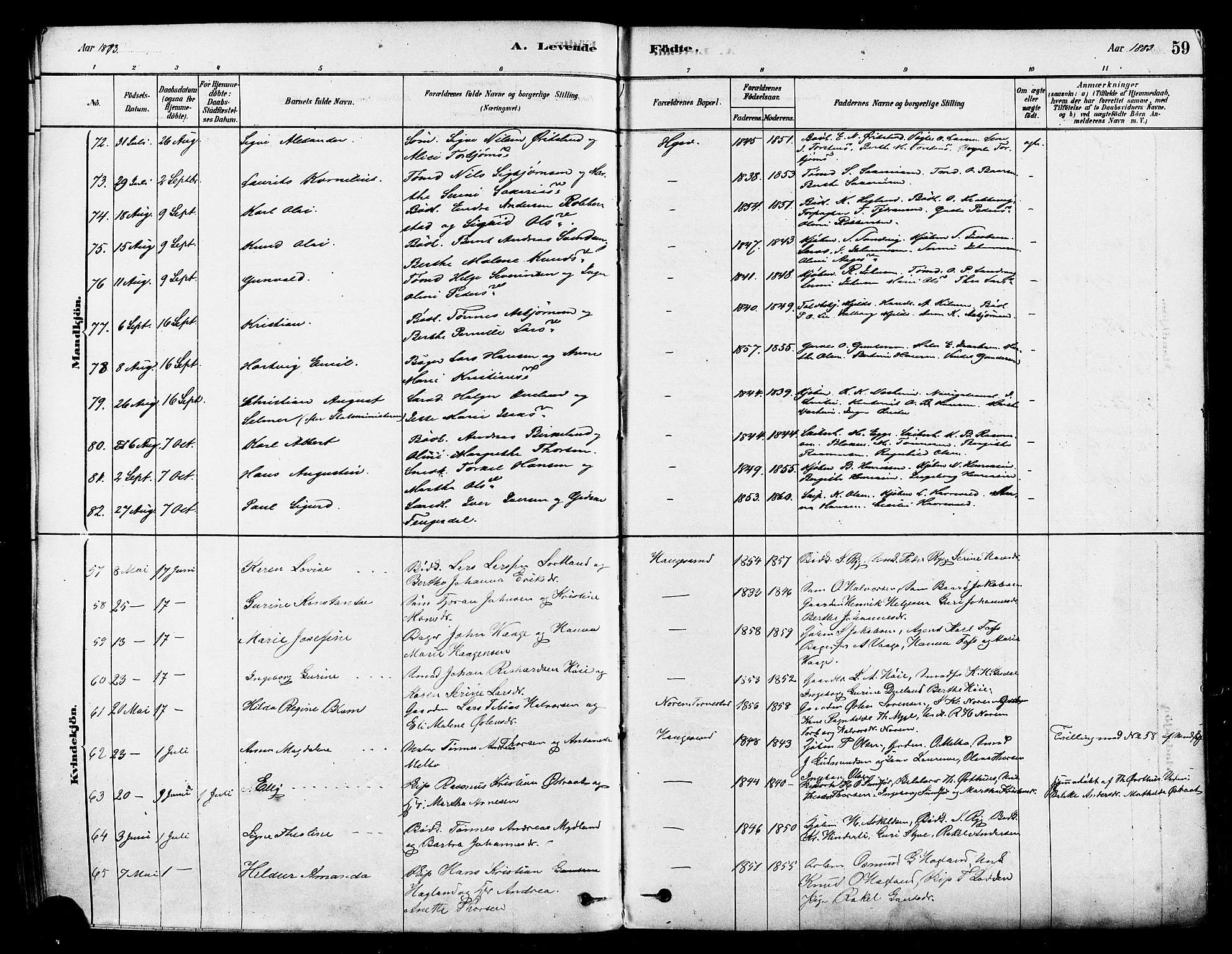 Haugesund sokneprestkontor, AV/SAST-A -101863/H/Ha/Haa/L0001: Parish register (official) no. A 1, 1878-1885, p. 59