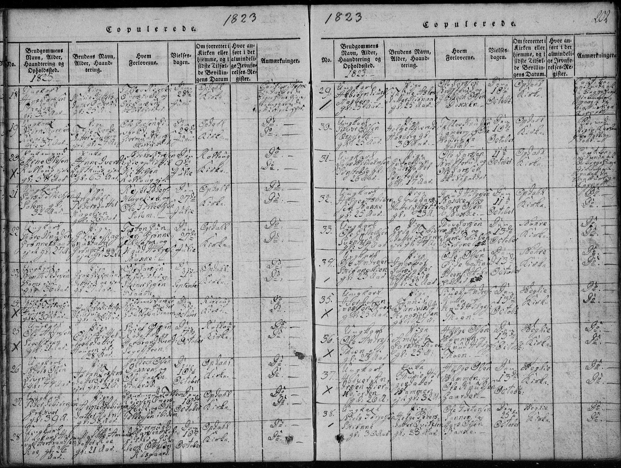 Rollag kirkebøker, AV/SAKO-A-240/G/Ga/L0001: Parish register (copy) no. I 1, 1814-1831, p. 202