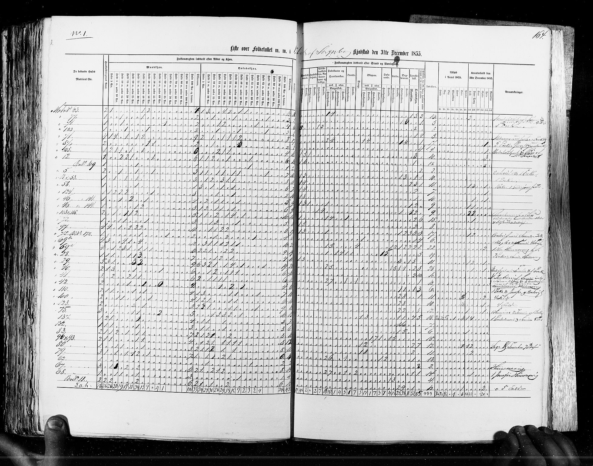 RA, Census 1855, vol. 7: Fredrikshald-Kragerø, 1855, p. 164