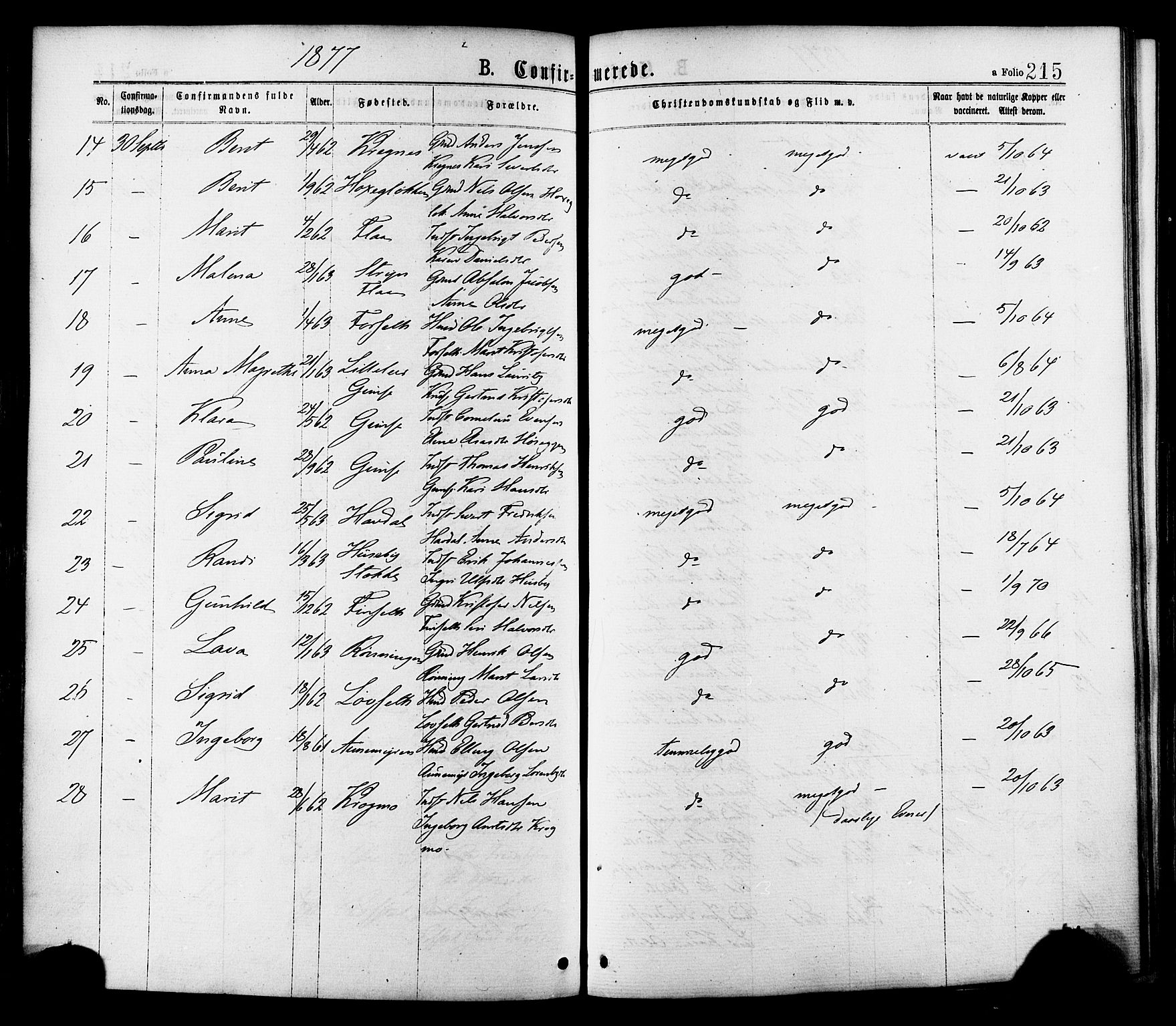 Ministerialprotokoller, klokkerbøker og fødselsregistre - Sør-Trøndelag, AV/SAT-A-1456/691/L1079: Parish register (official) no. 691A11, 1873-1886, p. 215