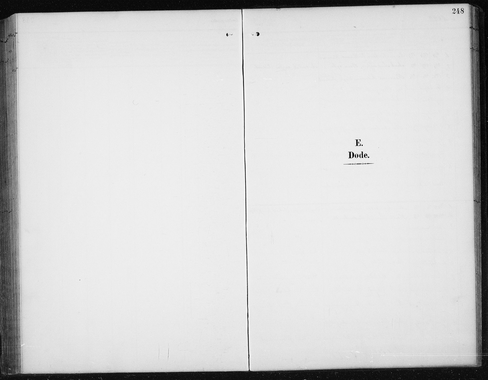 Ministerialprotokoller, klokkerbøker og fødselsregistre - Sør-Trøndelag, SAT/A-1456/674/L0876: Parish register (copy) no. 674C03, 1892-1912, p. 248