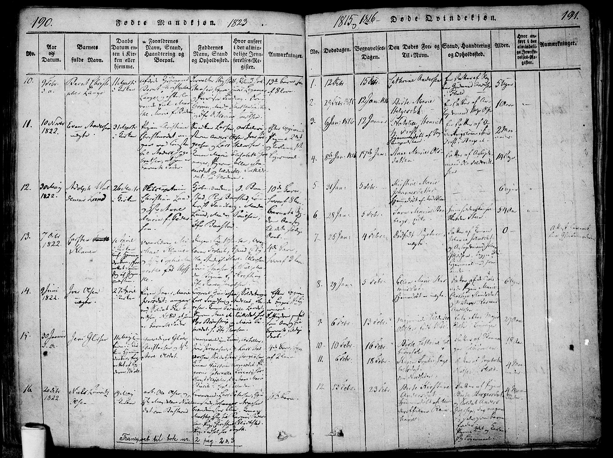 Halden prestekontor Kirkebøker, AV/SAO-A-10909/F/Fa/L0003: Parish register (official) no. I 3, 1815-1834, p. 190-191
