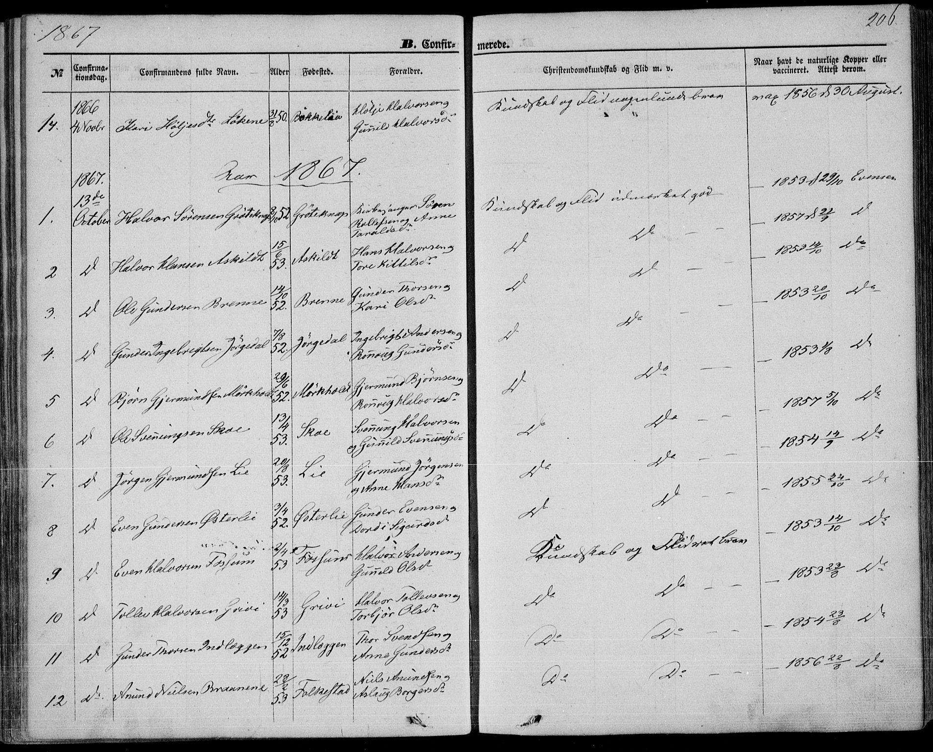 Bø kirkebøker, SAKO/A-257/F/Fa/L0009: Parish register (official) no. 9, 1862-1879, p. 206