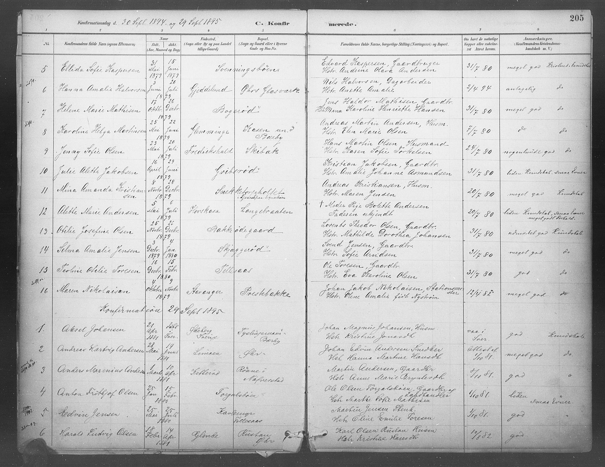 Idd prestekontor Kirkebøker, SAO/A-10911/F/Fb/L0002: Parish register (official) no. II 2, 1882-1923, p. 205