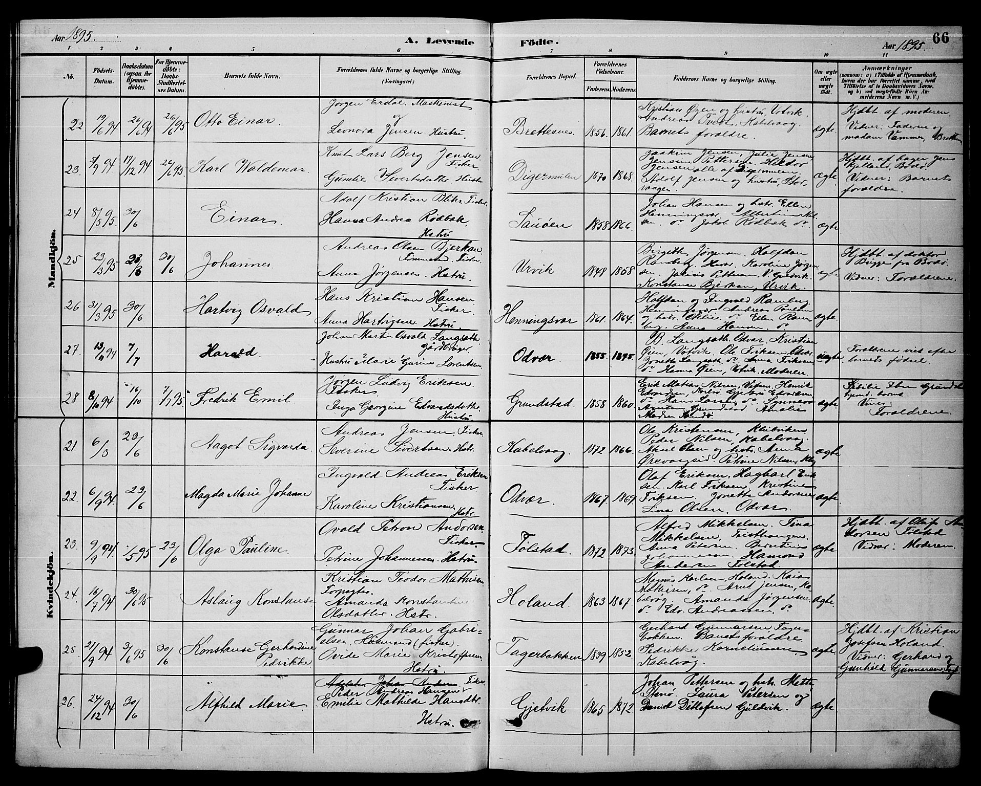 Ministerialprotokoller, klokkerbøker og fødselsregistre - Nordland, AV/SAT-A-1459/874/L1077: Parish register (copy) no. 874C06, 1891-1900, p. 66