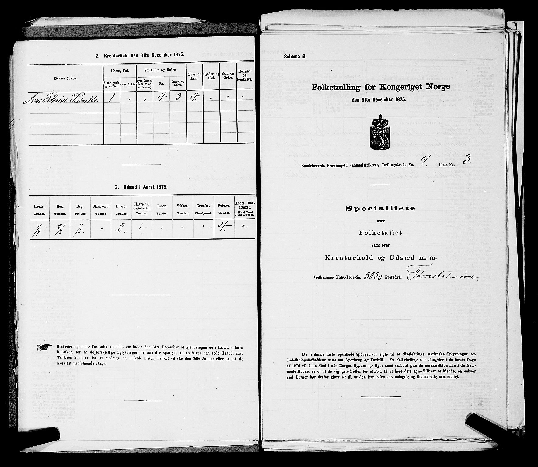 SAKO, 1875 census for 0724L Sandeherred/Sandeherred, 1875, p. 1557