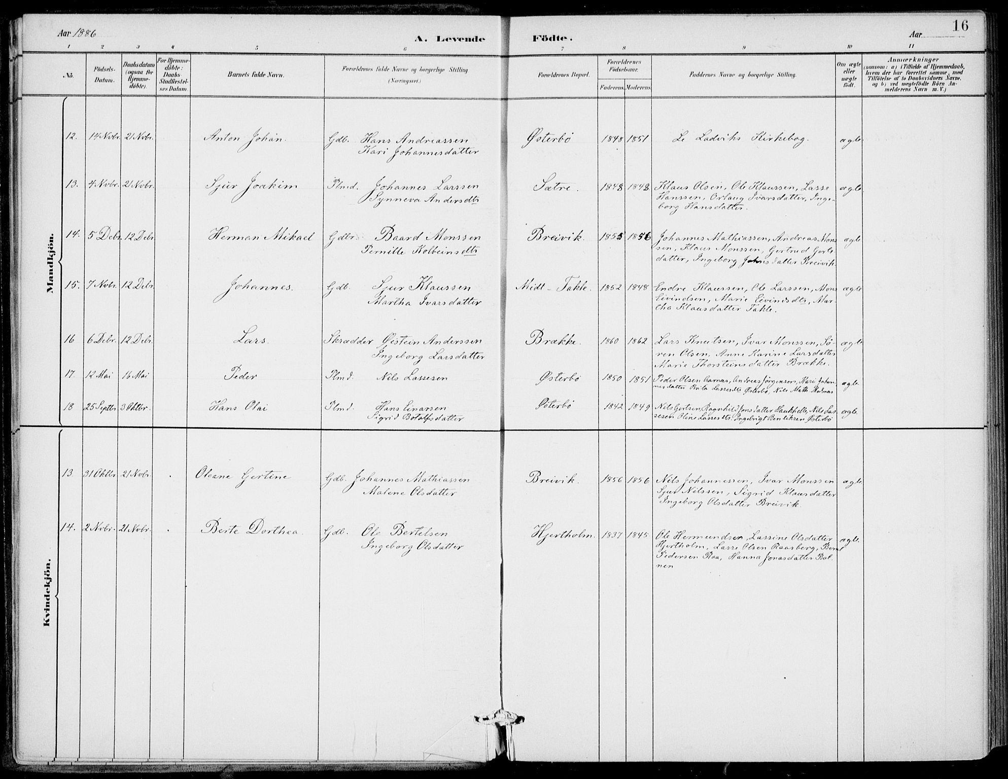 Gulen sokneprestembete, AV/SAB-A-80201/H/Haa/Haac/L0002: Parish register (official) no. C  2, 1882-1914, p. 16