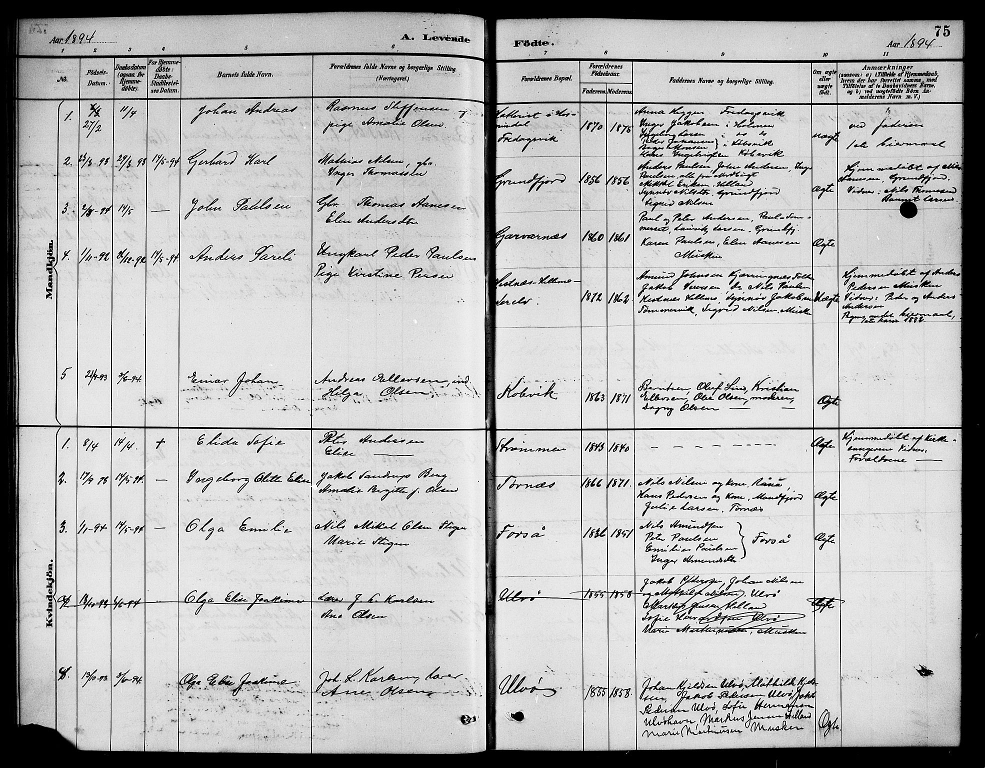 Ministerialprotokoller, klokkerbøker og fødselsregistre - Nordland, AV/SAT-A-1459/861/L0876: Parish register (copy) no. 861C02, 1887-1903, p. 75