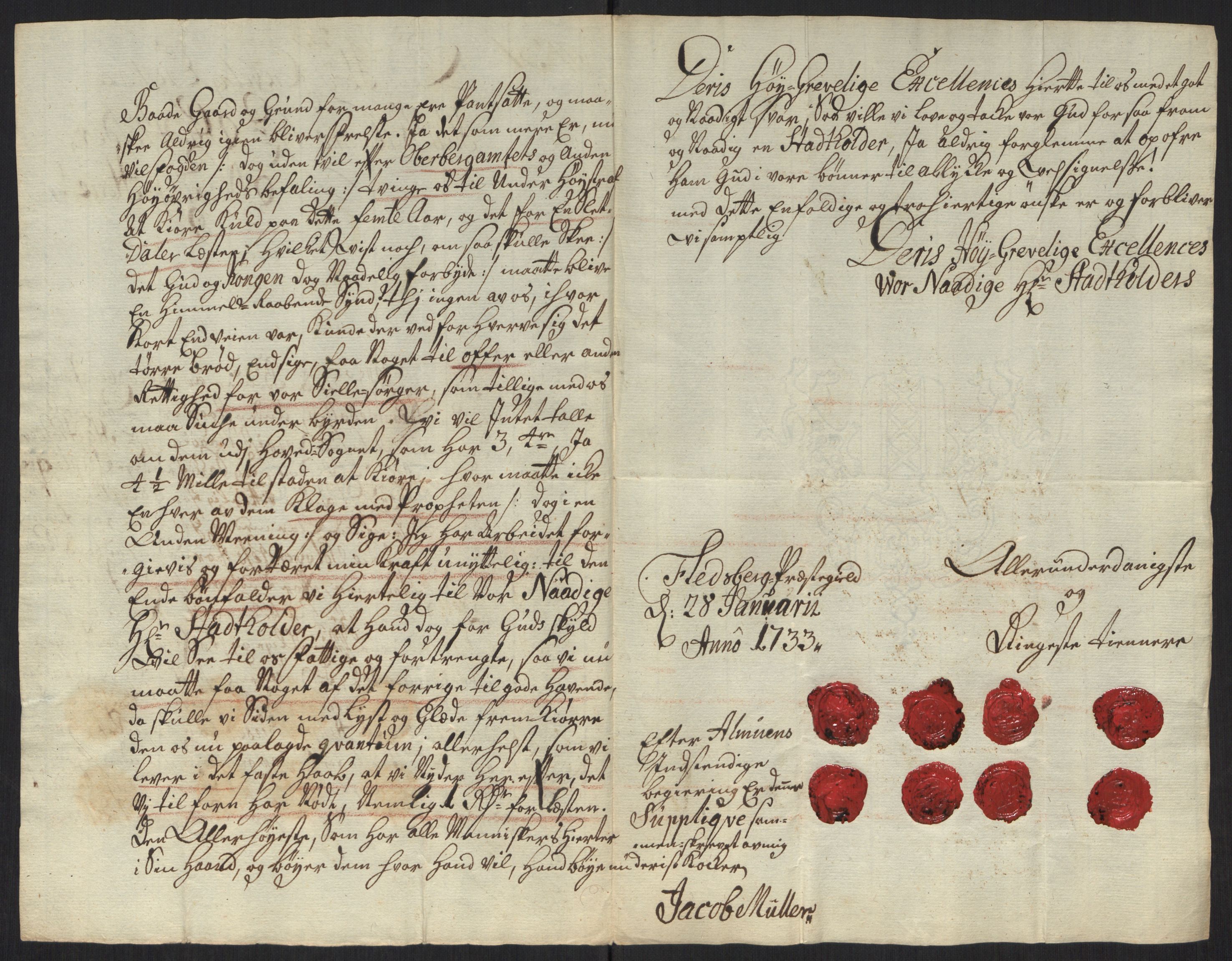 Stattholderembetet 1572-1771, AV/RA-EA-2870/Ef/L0107: Brev fra embetsmenn og andre, 1733-1734, p. 17