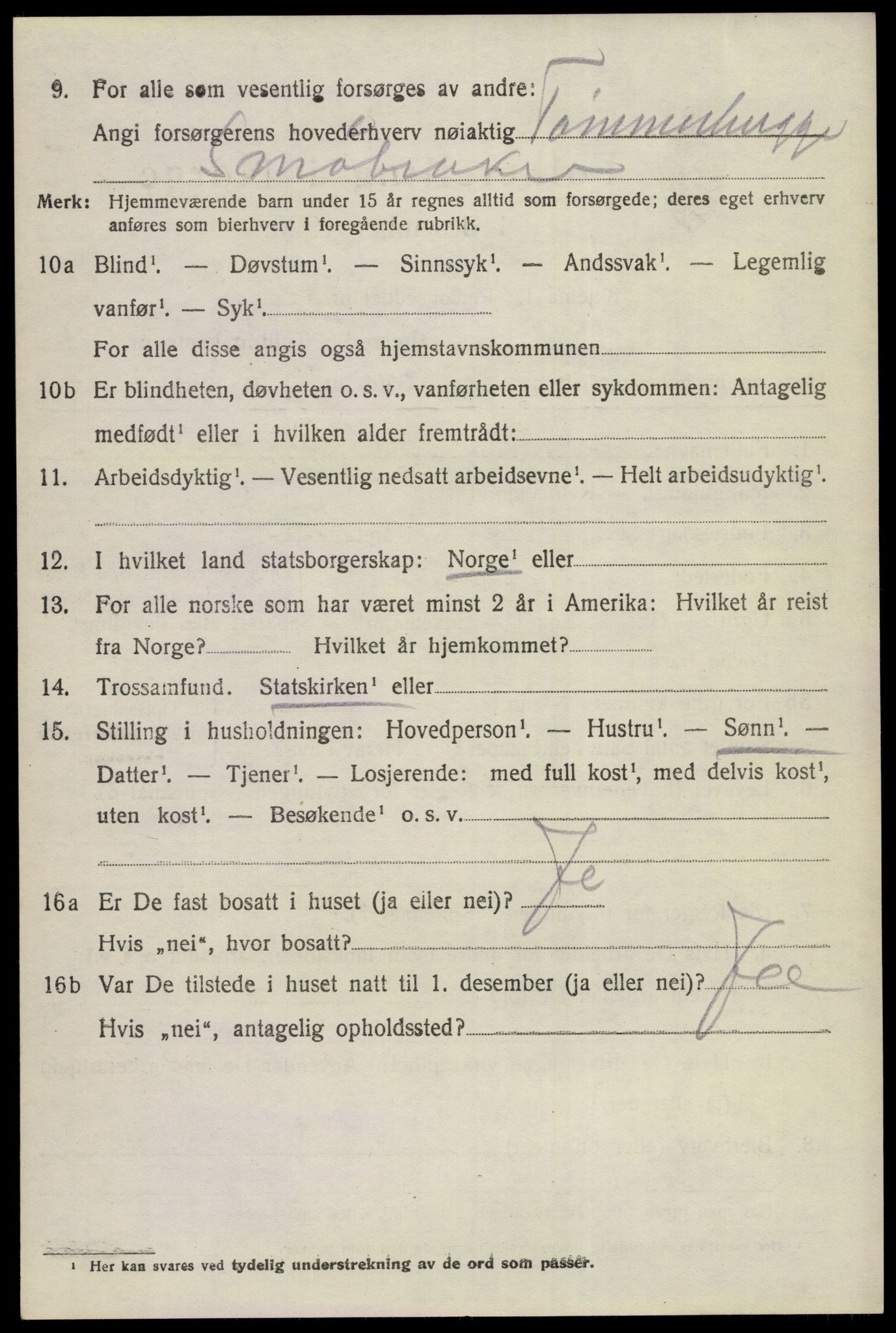 SAKO, 1920 census for Nes (Buskerud), 1920, p. 2871