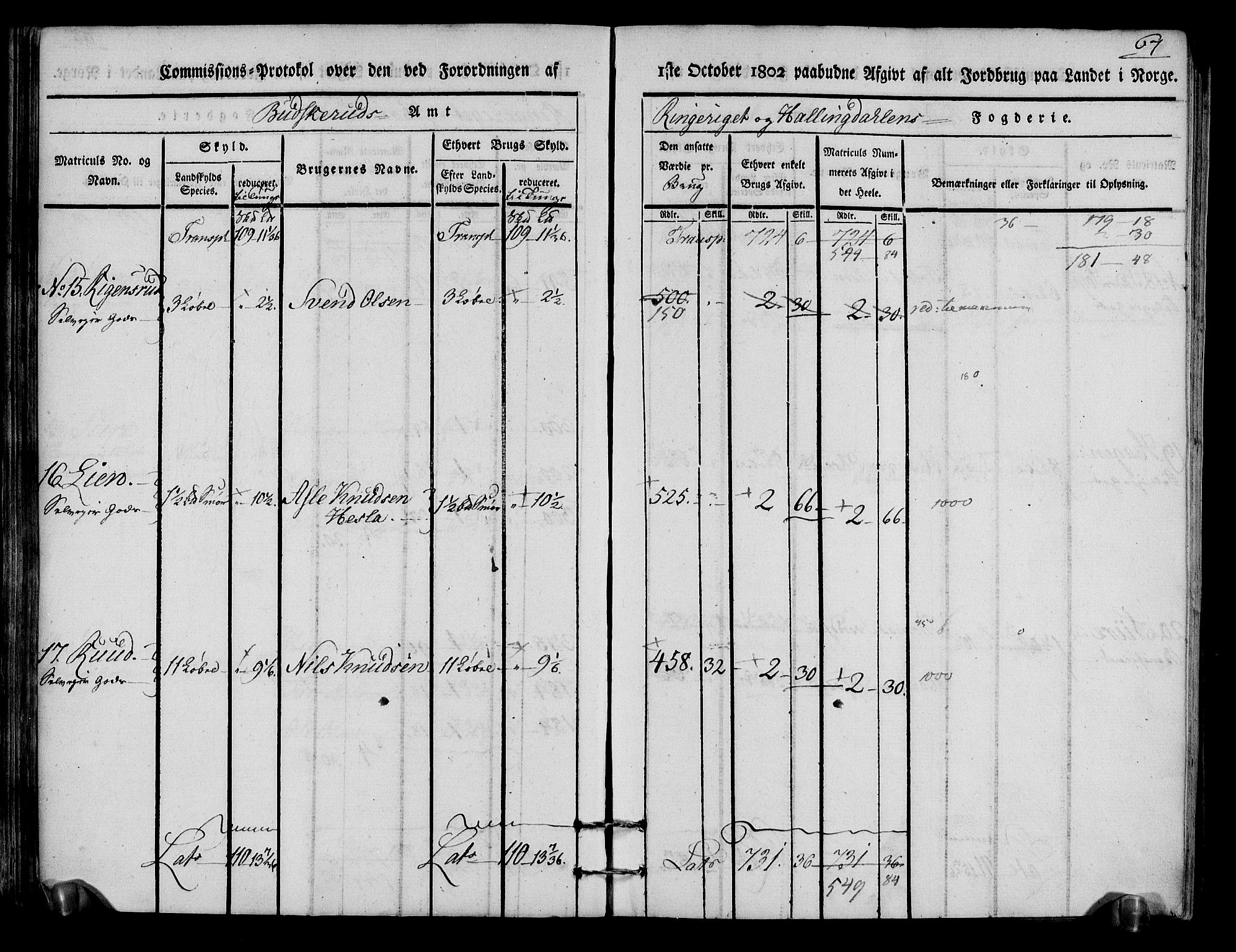 Rentekammeret inntil 1814, Realistisk ordnet avdeling, AV/RA-EA-4070/N/Ne/Nea/L0048: Ringerike og Hallingdal fogderi. Kommisjonsprotokoll for Ål prestegjeld, 1803, p. 71