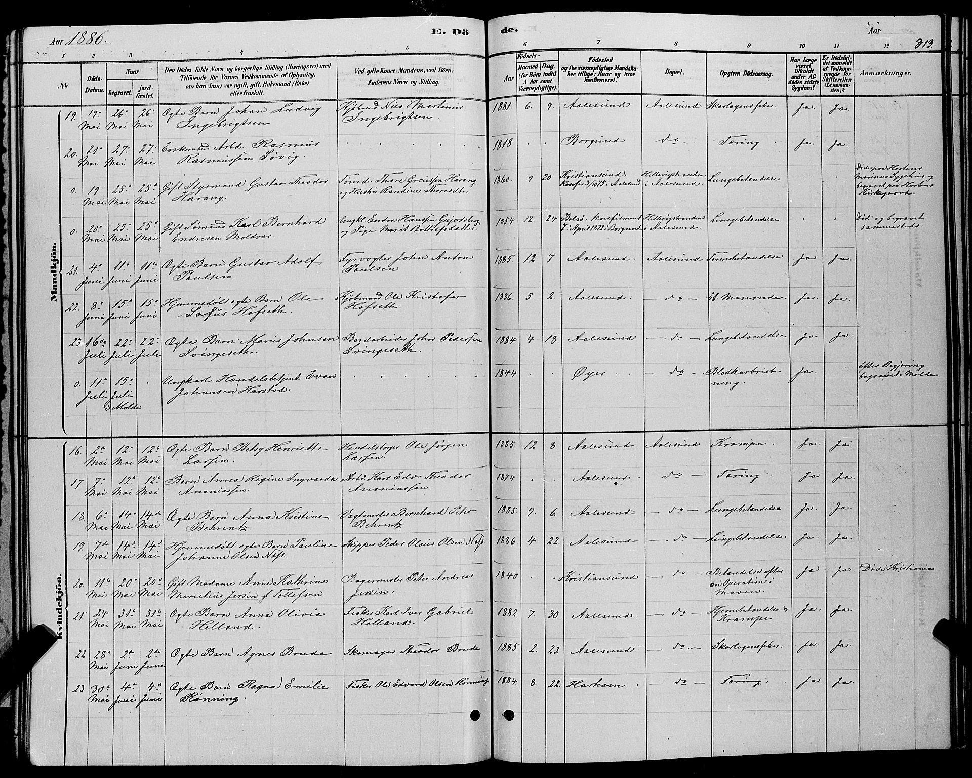 Ministerialprotokoller, klokkerbøker og fødselsregistre - Møre og Romsdal, AV/SAT-A-1454/529/L0466: Parish register (copy) no. 529C03, 1878-1888, p. 313