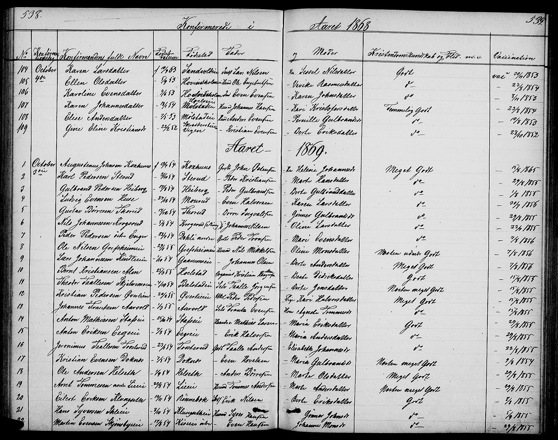 Nes prestekontor, Hedmark, SAH/PREST-020/L/La/L0005: Parish register (copy) no. 5, 1852-1889, p. 538-539