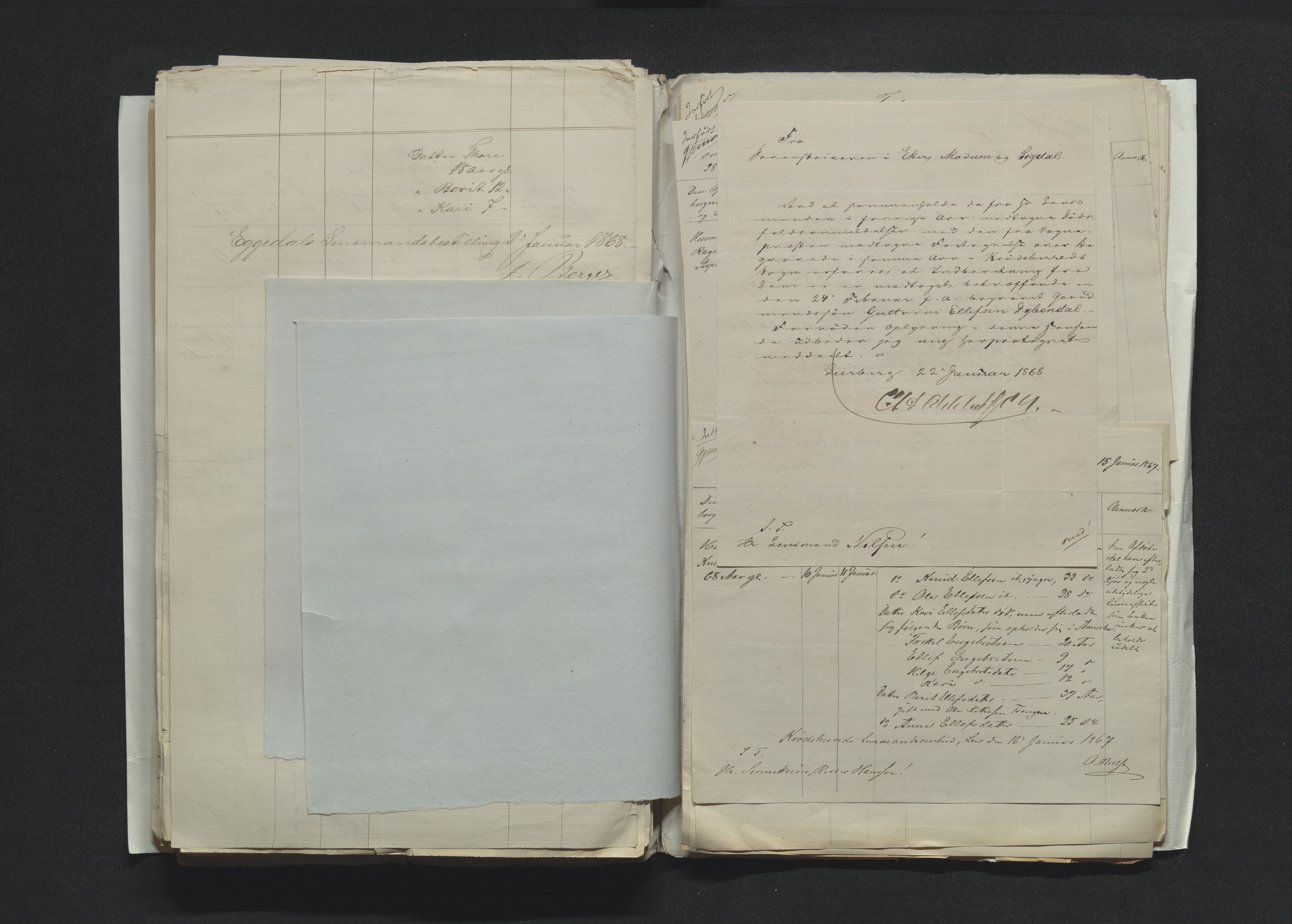 Eiker, Modum og Sigdal sorenskriveri, AV/SAKO-A-123/H/Ha/Hab/L0012: Dødsfallsmeldinger, 1866-1869, p. 312