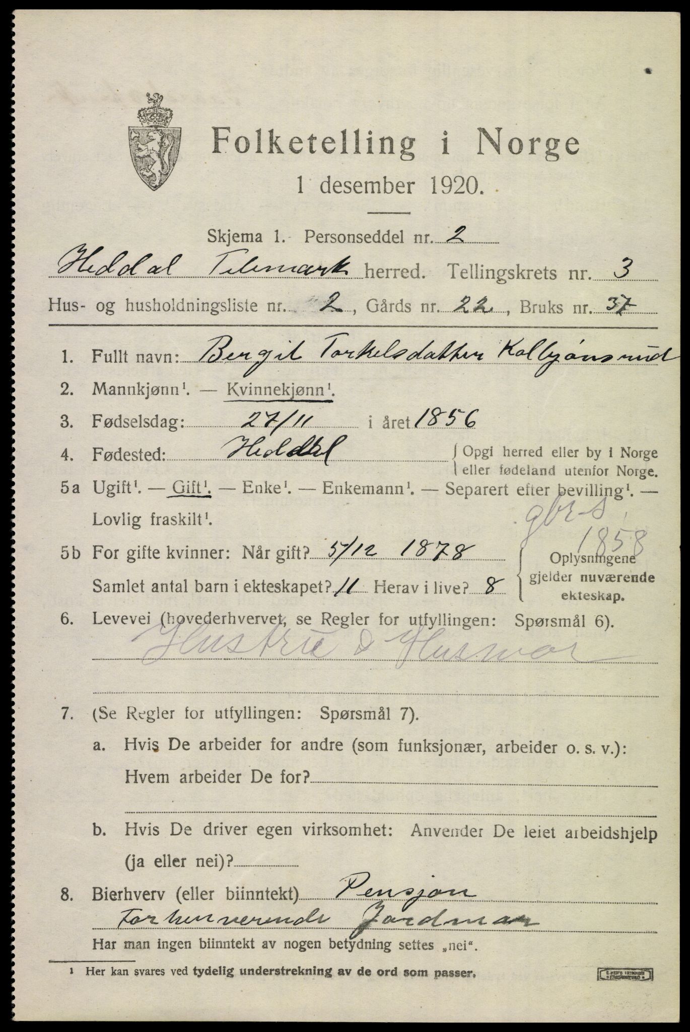 SAKO, 1920 census for Heddal, 1920, p. 3656