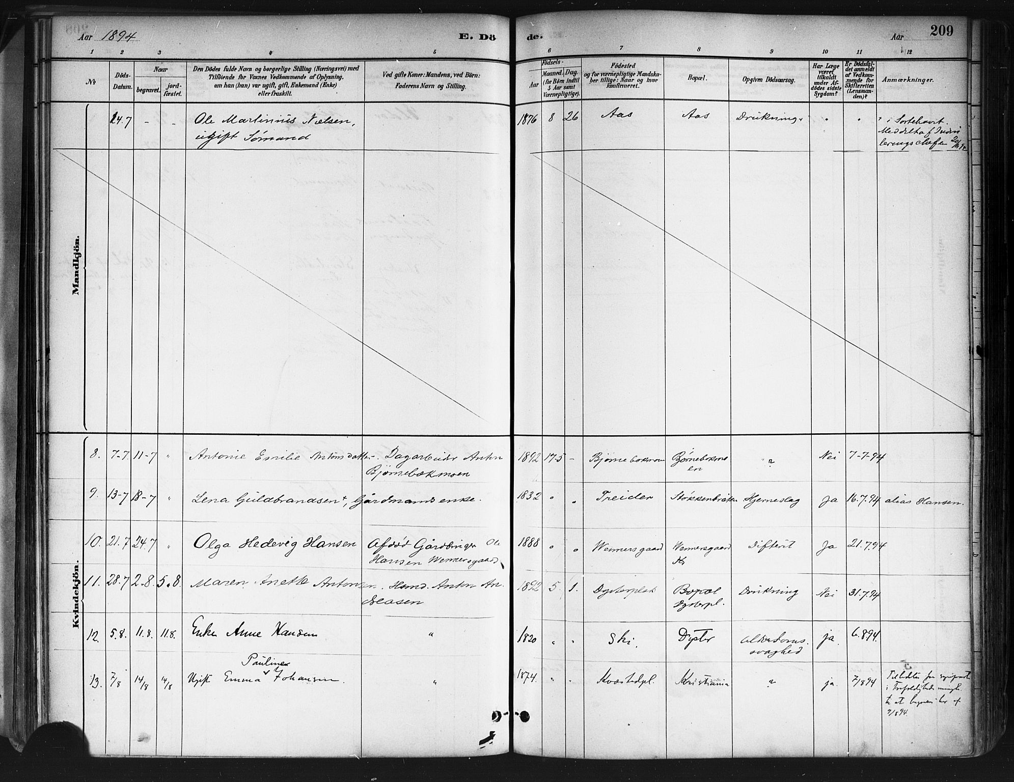 Ås prestekontor Kirkebøker, SAO/A-10894/F/Fa/L0009: Parish register (official) no. I 9, 1881-1900, p. 209