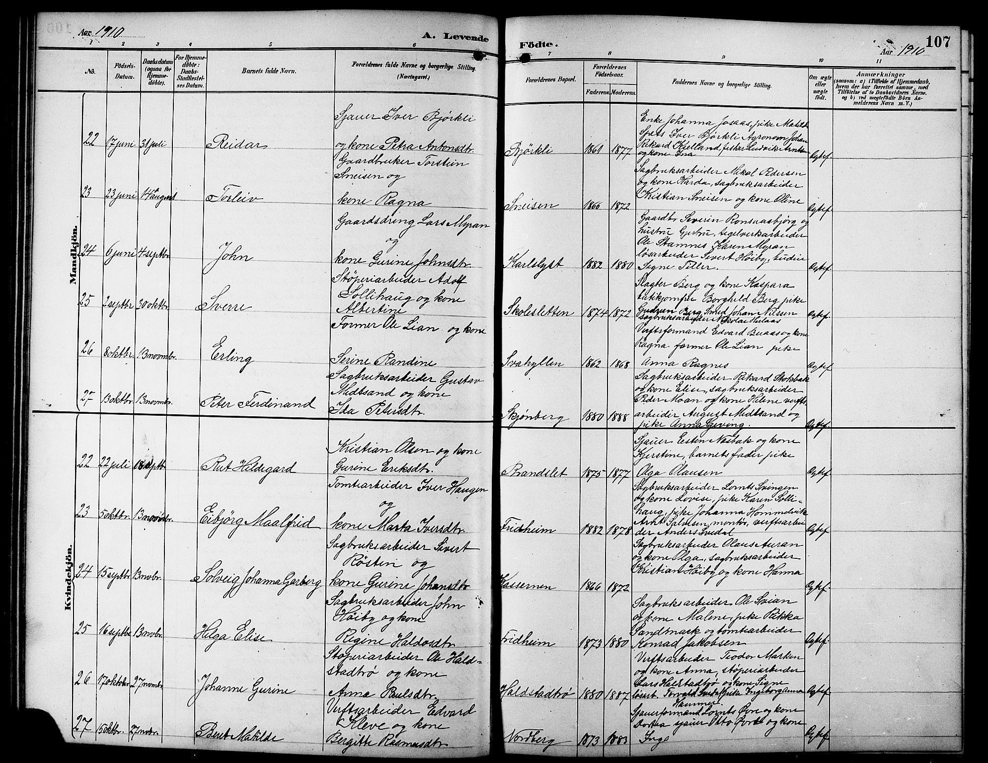 Ministerialprotokoller, klokkerbøker og fødselsregistre - Sør-Trøndelag, SAT/A-1456/617/L0431: Parish register (copy) no. 617C01, 1889-1910, p. 107