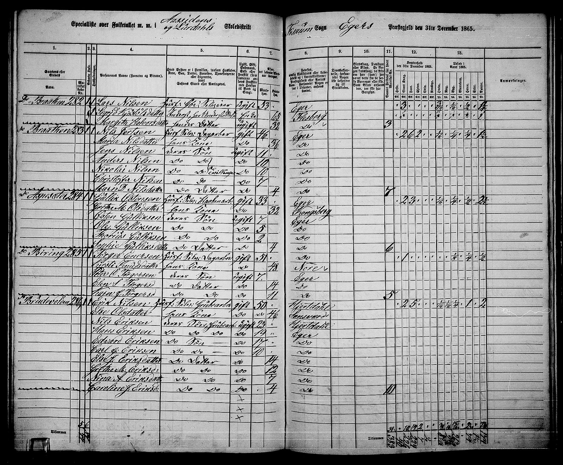 RA, 1865 census for Eiker, 1865, p. 511