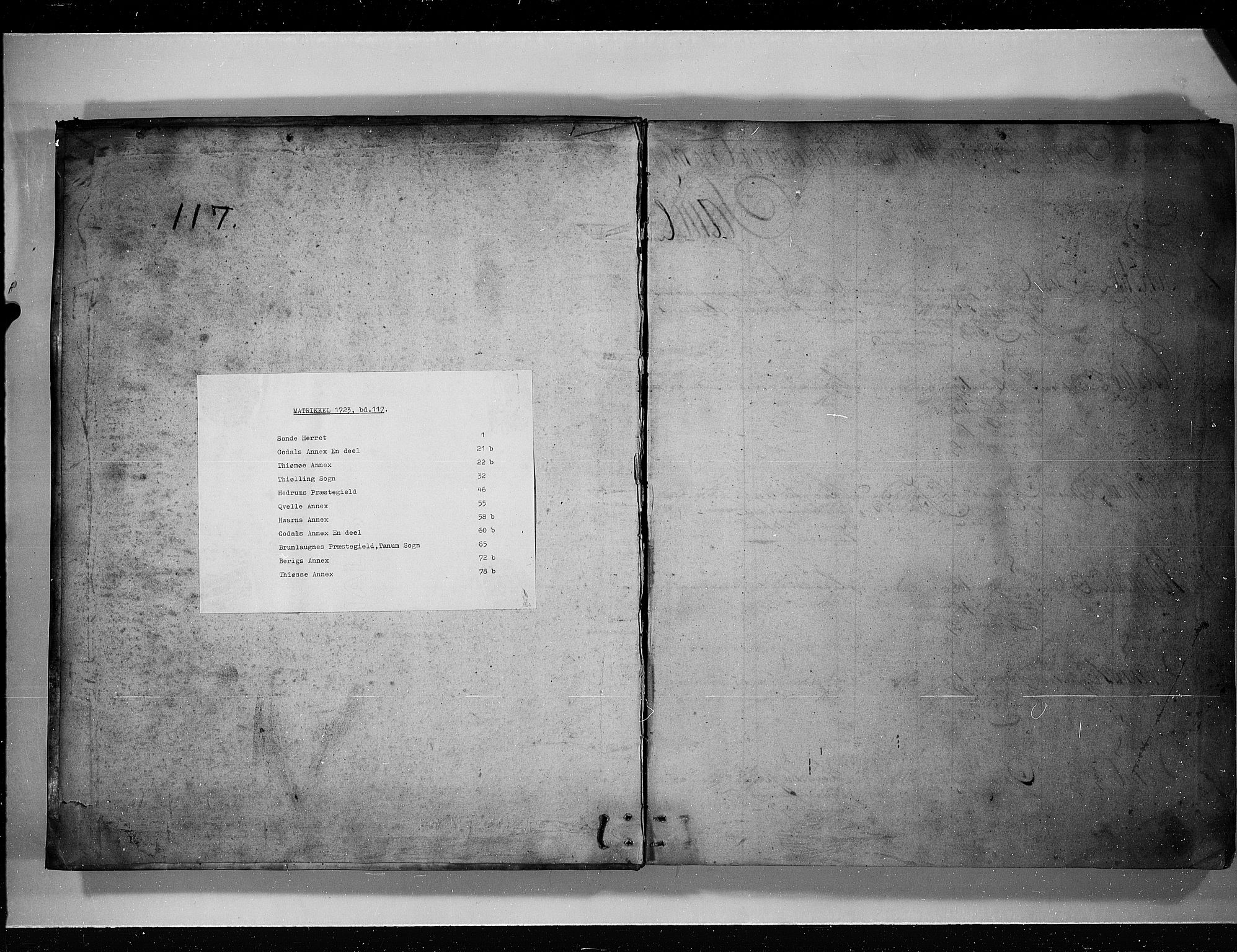Rentekammeret inntil 1814, Realistisk ordnet avdeling, RA/EA-4070/N/Nb/Nbf/L0117: Larvik grevskap eksaminasjonsprotokoll, 1723