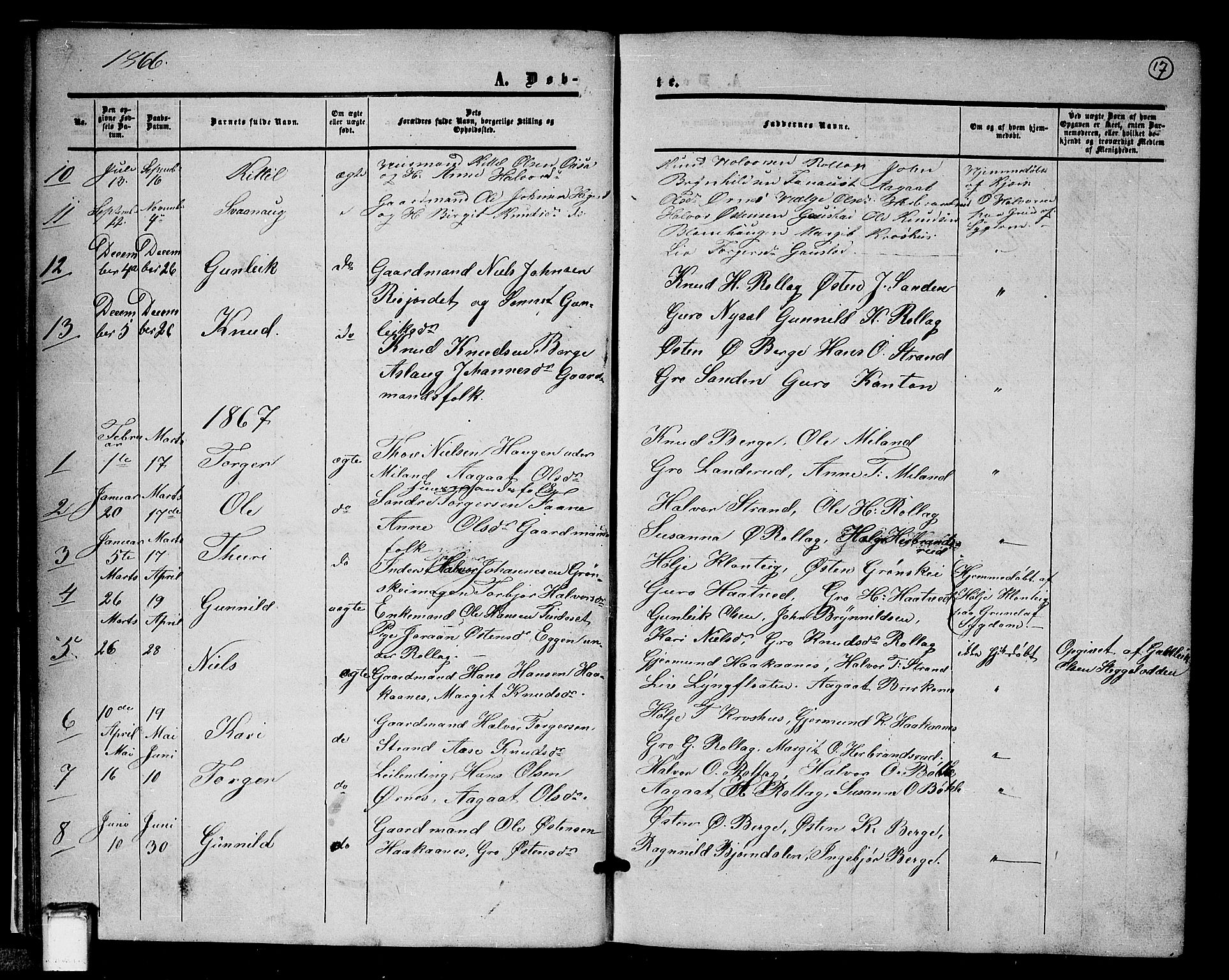 Tinn kirkebøker, SAKO/A-308/G/Gb/L0002: Parish register (copy) no. II 2, 1851-1886, p. 17