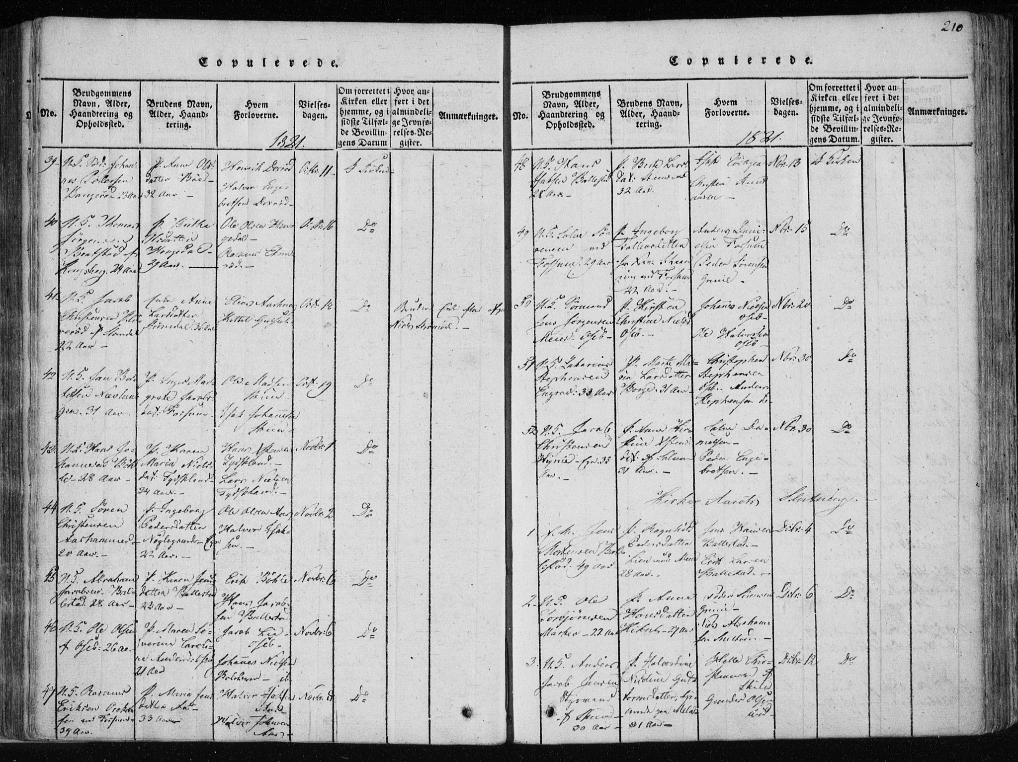 Gjerpen kirkebøker, SAKO/A-265/F/Fa/L0004: Parish register (official) no. I 4, 1814-1823, p. 210