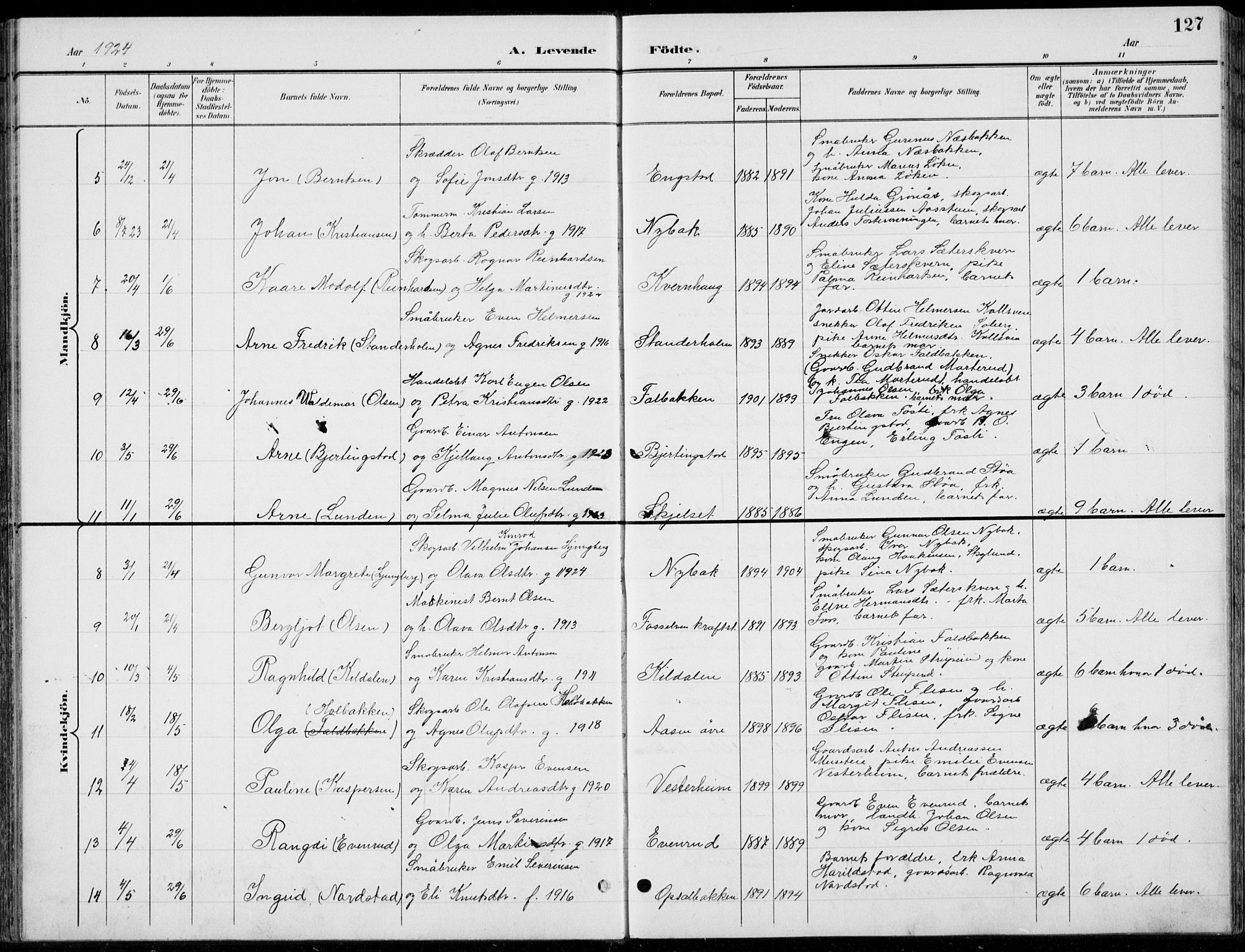 Romedal prestekontor, AV/SAH-PREST-004/L/L0013: Parish register (copy) no. 13, 1896-1937, p. 127