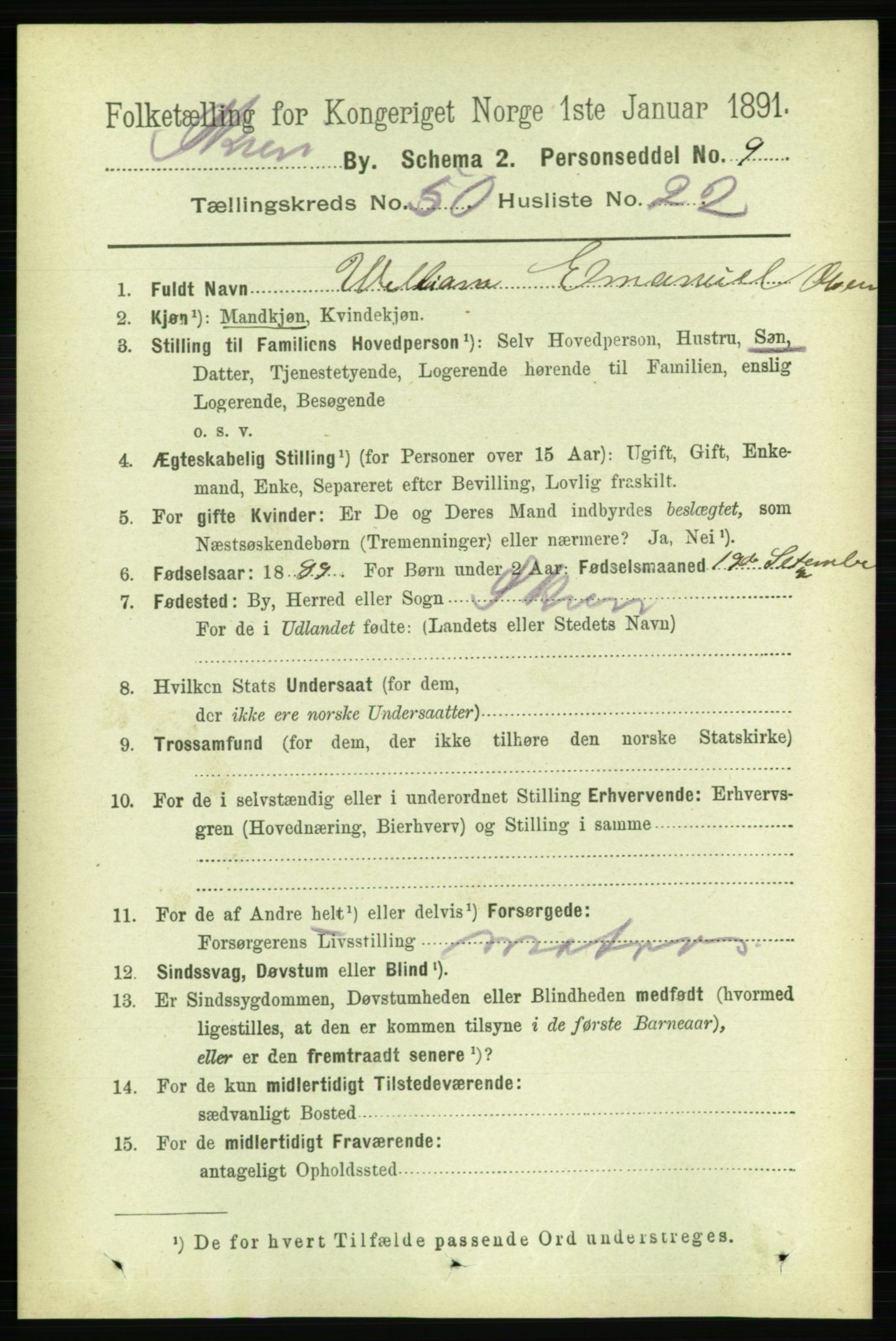 RA, 1891 census for 0806 Skien, 1891, p. 10993