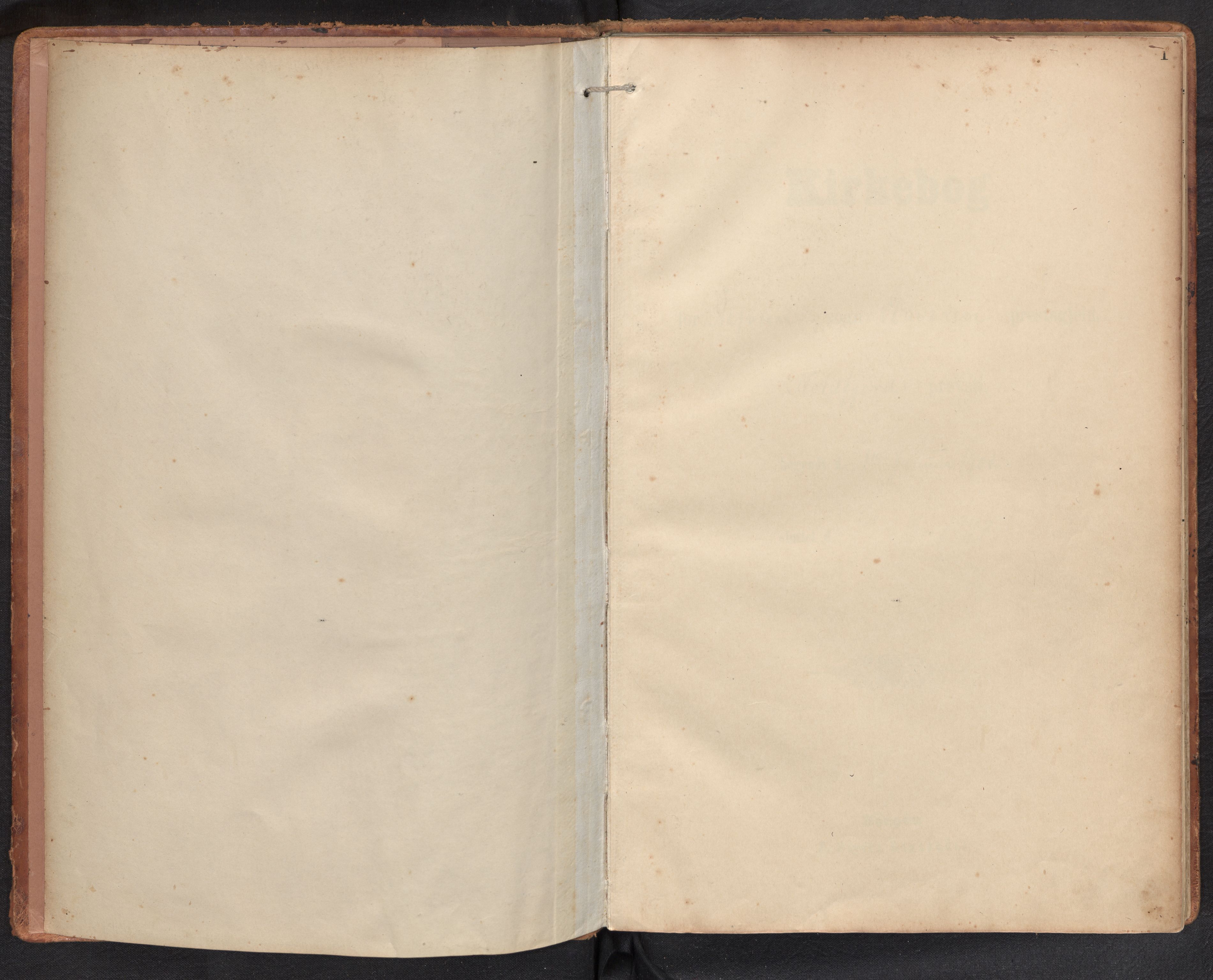 Davik sokneprestembete, AV/SAB-A-79701/H/Haa/Haae/L0002: Parish register (official) no. E 2, 1901-1937, p. 0b-1a