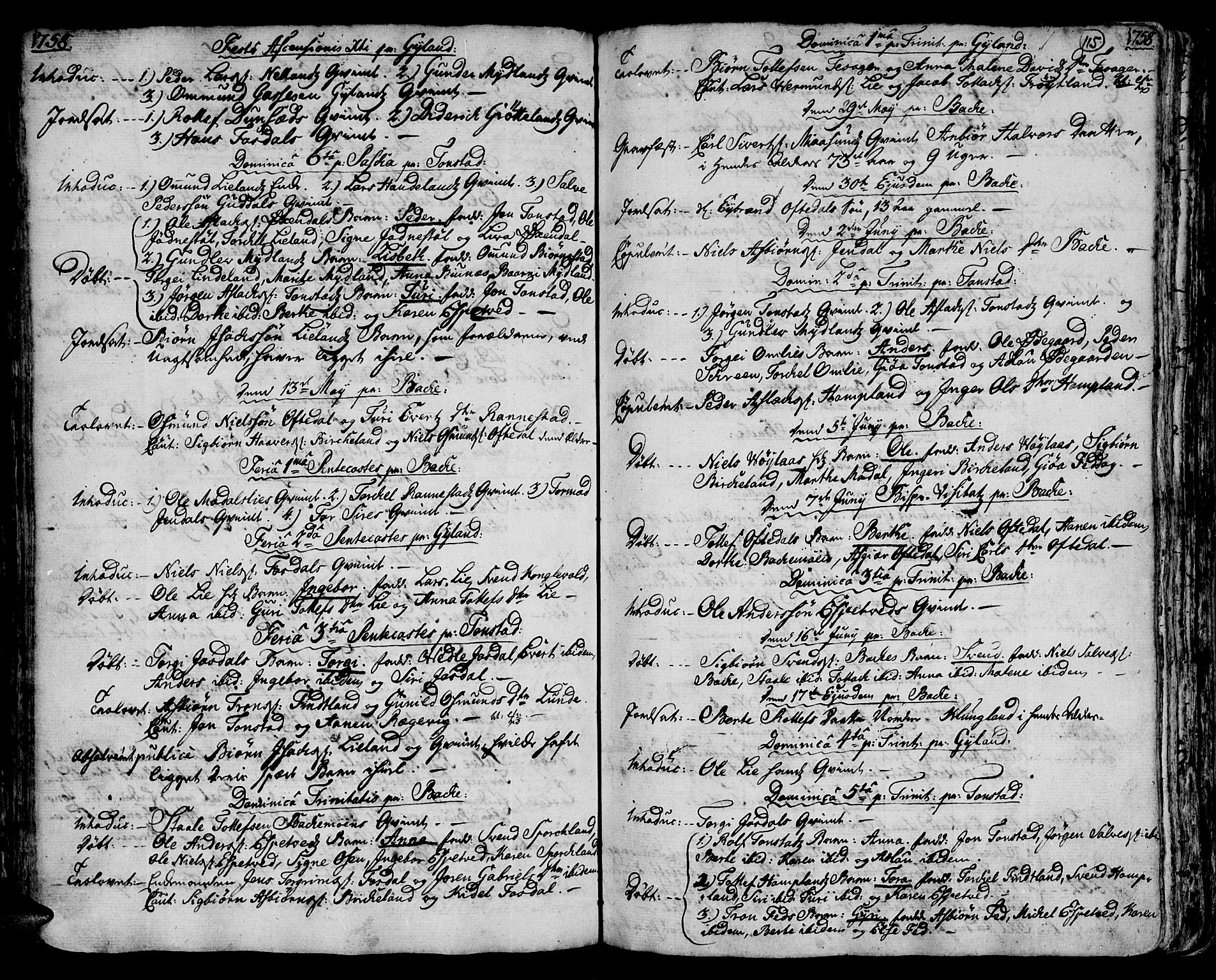 Bakke sokneprestkontor, AV/SAK-1111-0002/F/Fa/Faa/L0001: Parish register (official) no. A 1, 1741-1780, p. 115