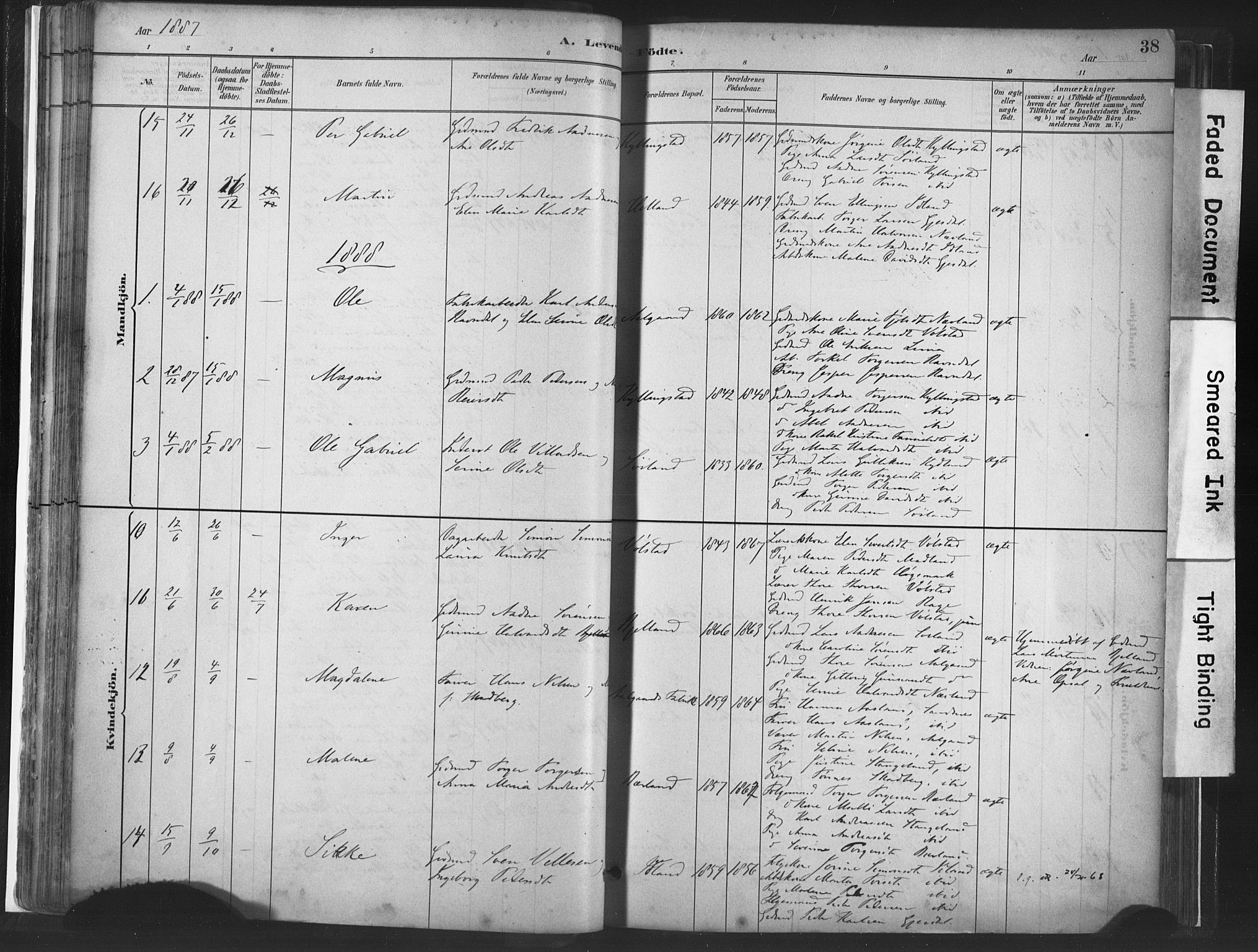 Lye sokneprestkontor, SAST/A-101794/001/30BA/L0010: Parish register (official) no. A 10, 1881-1896, p. 38