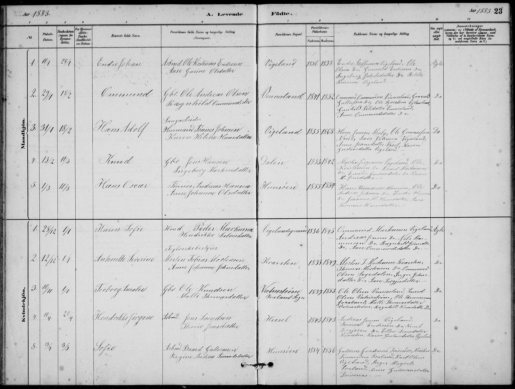 Vennesla sokneprestkontor, AV/SAK-1111-0045/Fb/Fbb/L0003: Parish register (copy) no. B 3, 1879-1893, p. 23