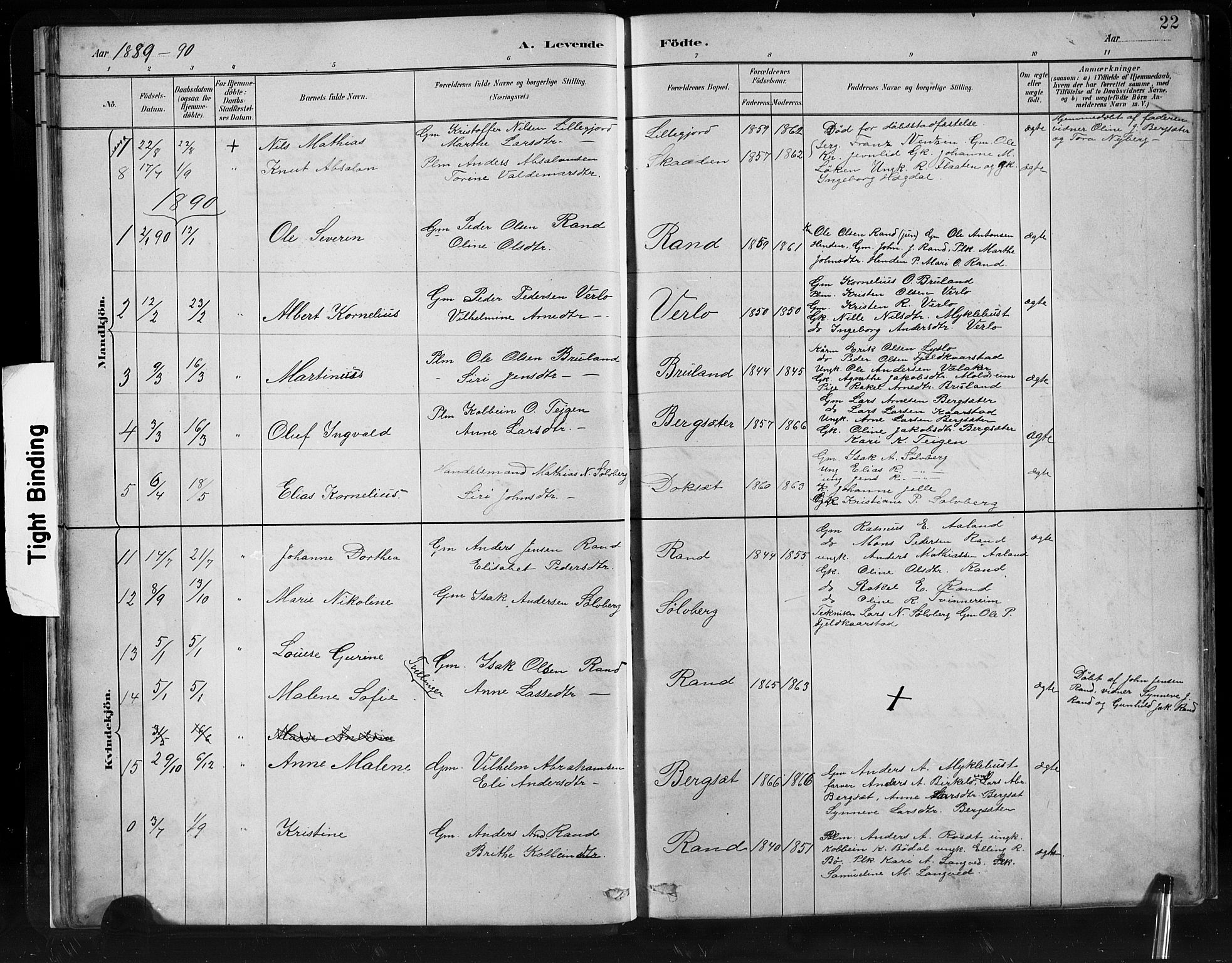 Innvik sokneprestembete, SAB/A-80501: Parish register (copy) no. C 3, 1883-1911, p. 22