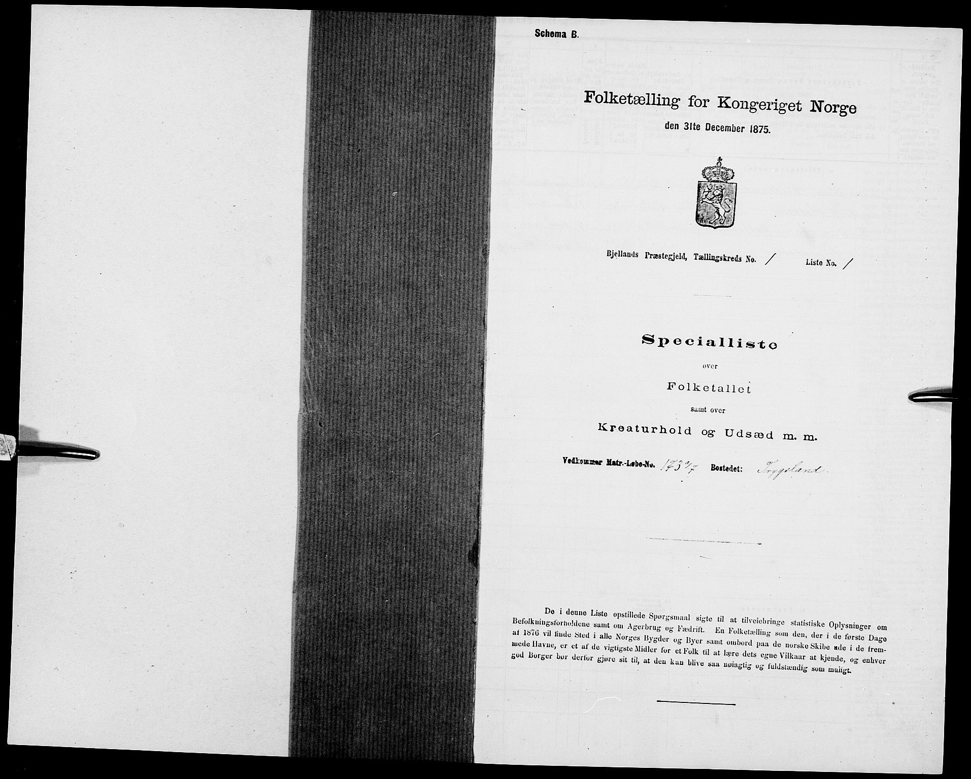 SAK, 1875 census for 1024P Bjelland, 1875, p. 35