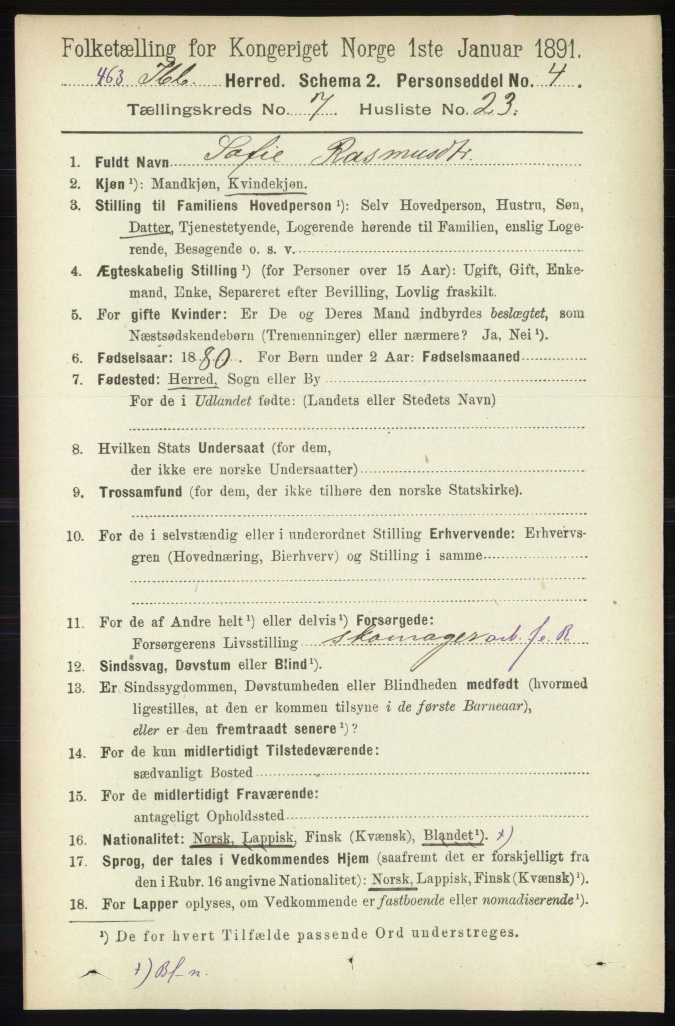 RA, 1891 census for 1917 Ibestad, 1891, p. 4312