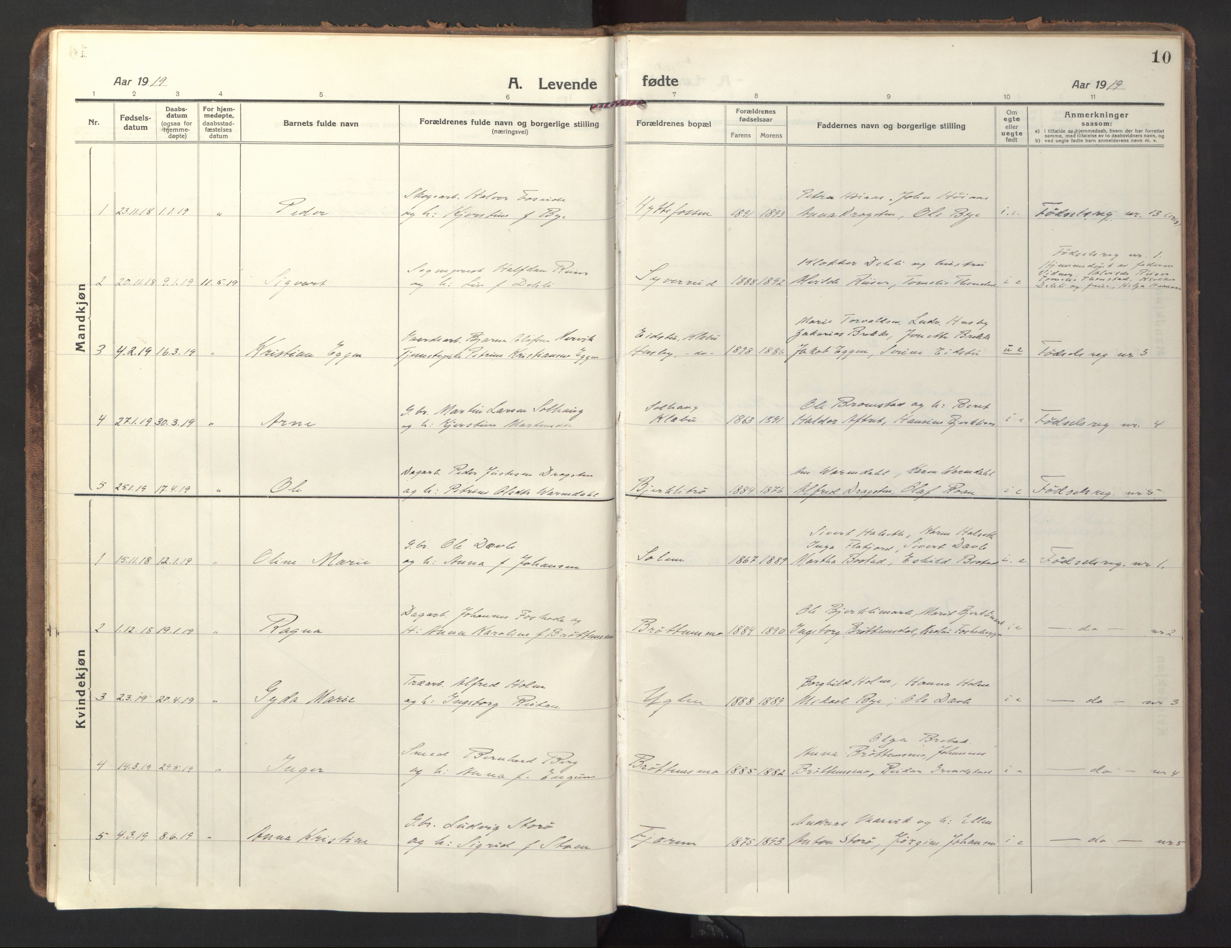 Ministerialprotokoller, klokkerbøker og fødselsregistre - Sør-Trøndelag, SAT/A-1456/618/L0449: Parish register (official) no. 618A12, 1917-1924, p. 10