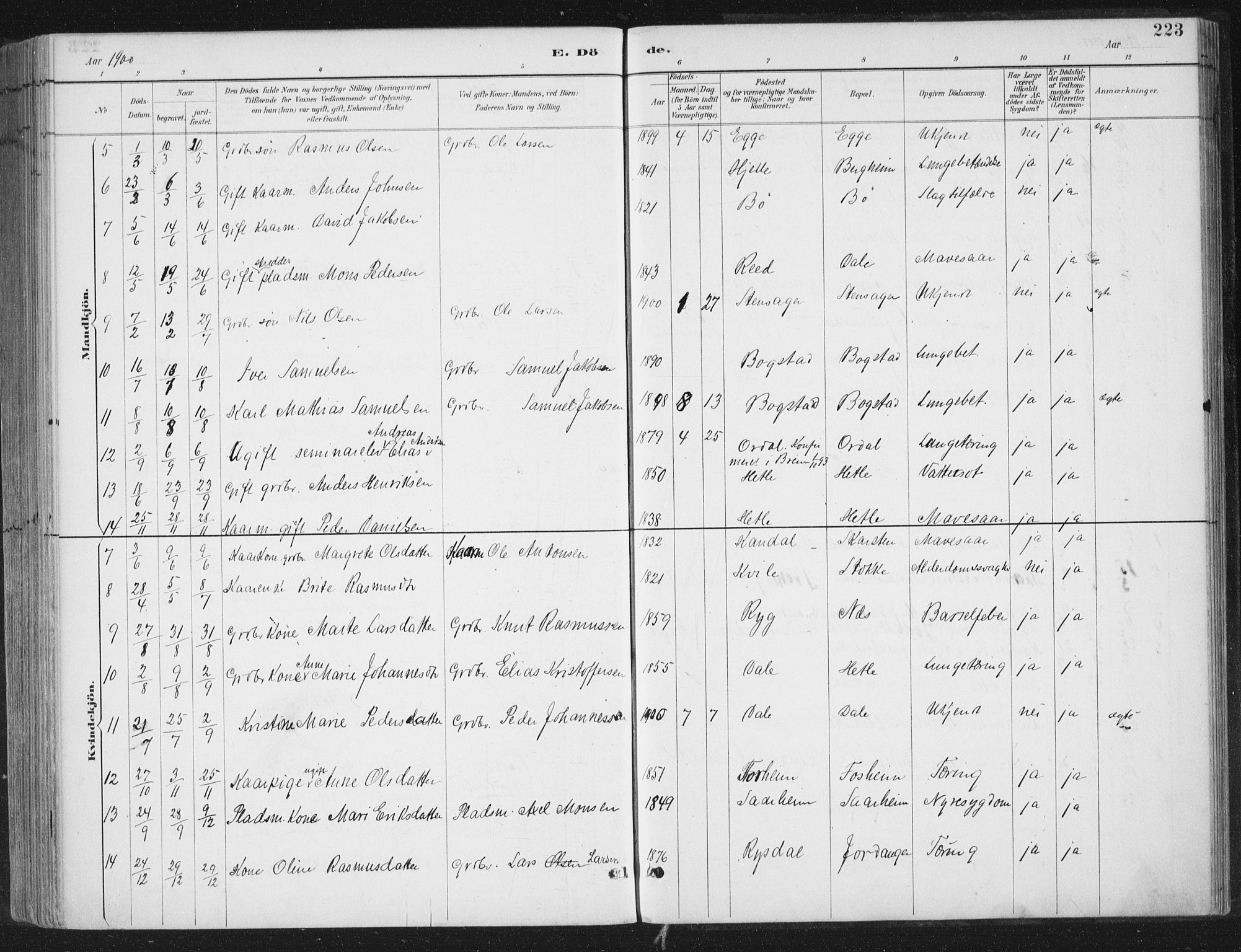 Gloppen sokneprestembete, SAB/A-80101/H/Haa/Haac/L0002: Parish register (official) no. C  2, 1887-1904, p. 223