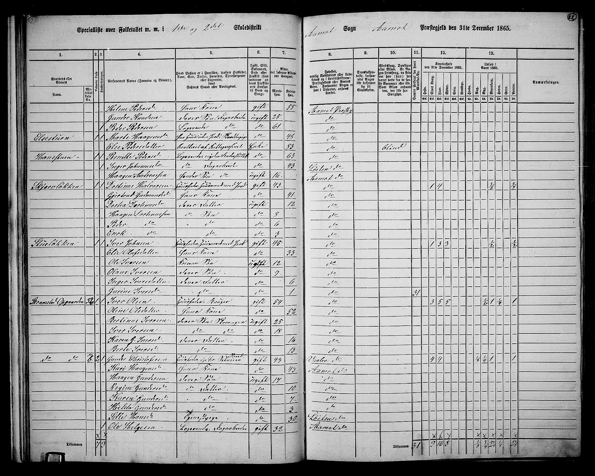 RA, 1865 census for Åmot, 1865, p. 20