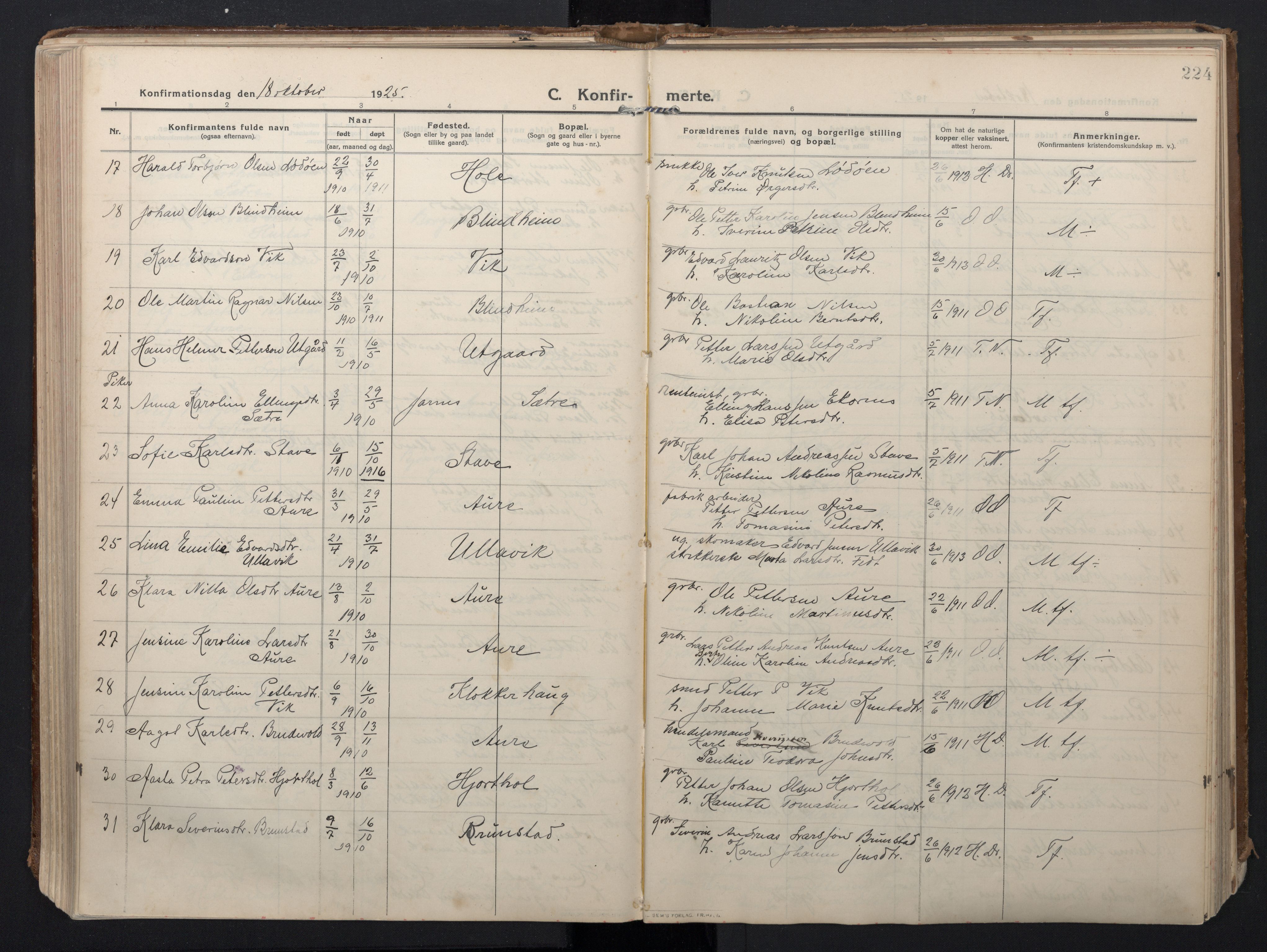 Ministerialprotokoller, klokkerbøker og fødselsregistre - Møre og Romsdal, AV/SAT-A-1454/523/L0337: Parish register (official) no. 523A04, 1911-1929, p. 224