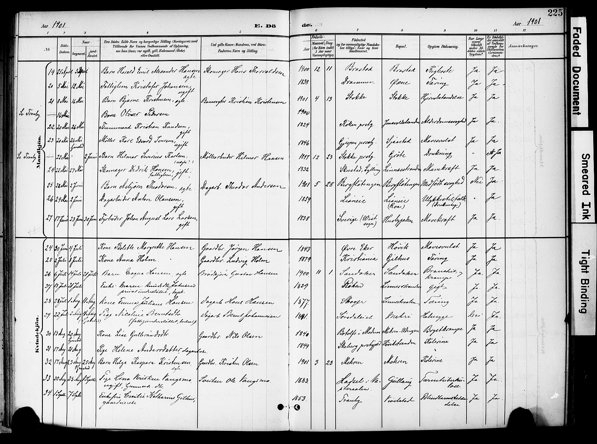 Lier kirkebøker, SAKO/A-230/F/Fa/L0017: Parish register (official) no. I 17, 1901-1908, p. 225