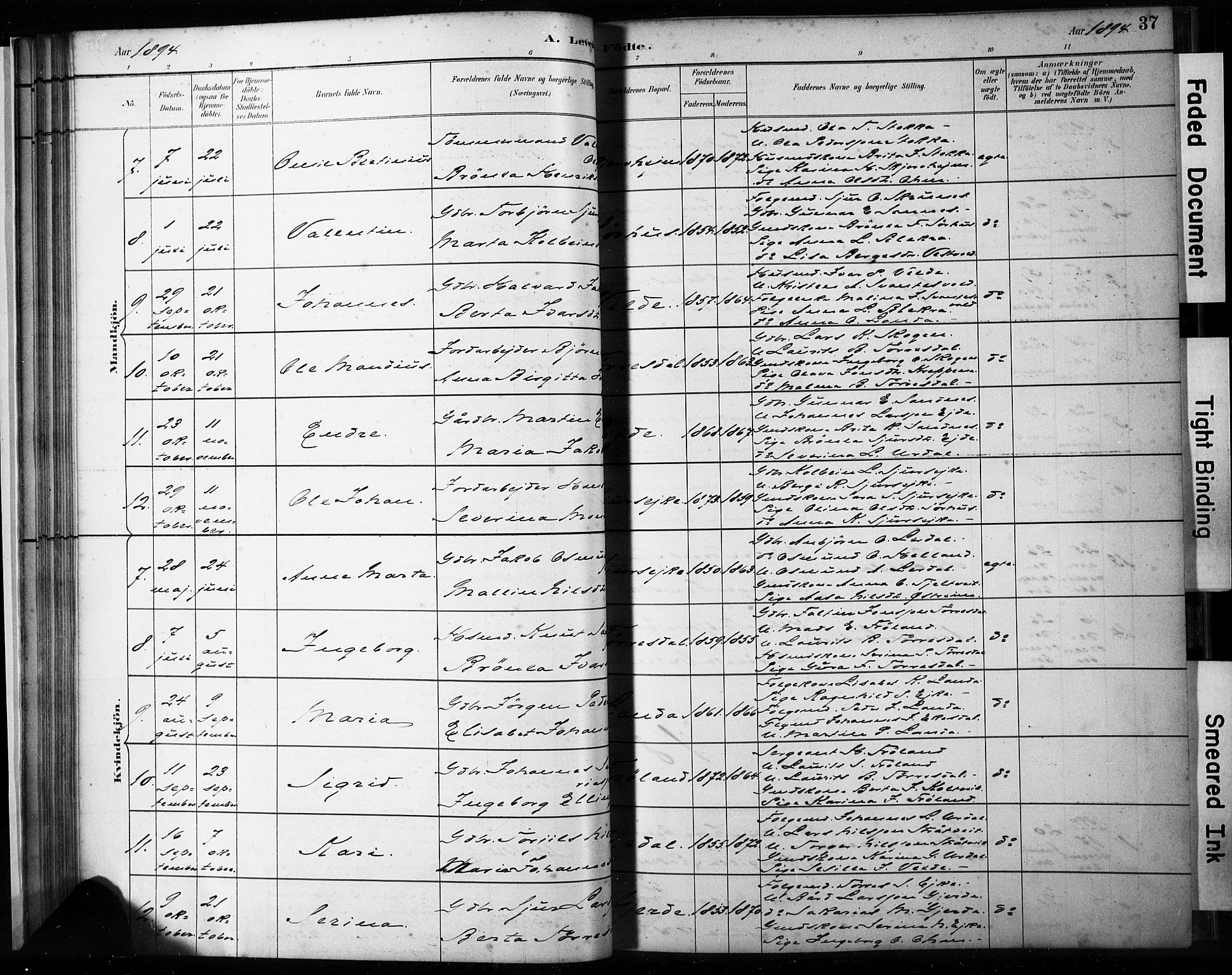 Skjold sokneprestkontor, AV/SAST-A-101847/H/Ha/Haa/L0009: Parish register (official) no. A 9, 1882-1898, p. 37