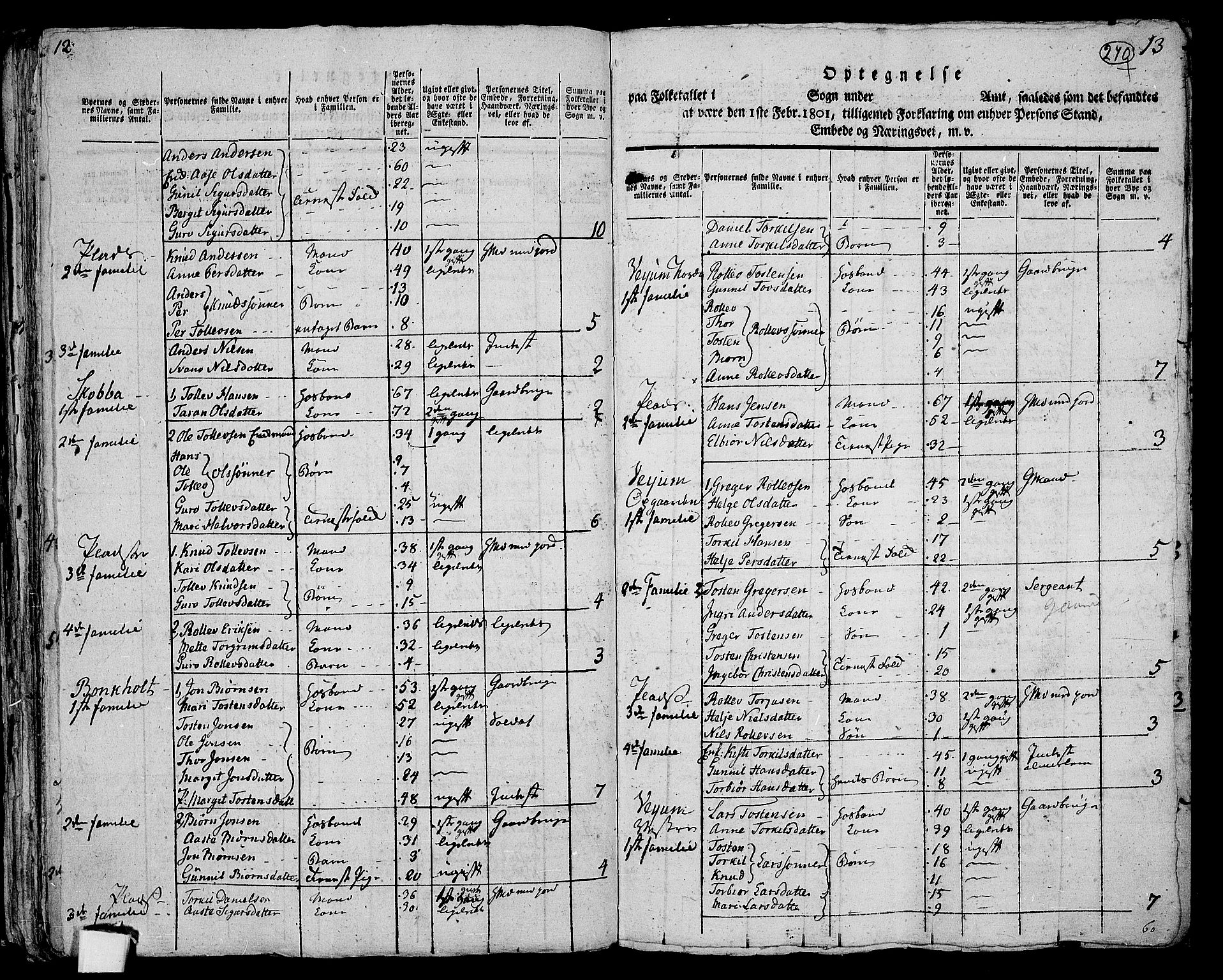 RA, 1801 census for 0822P Sauherad, 1801, p. 269b-270a