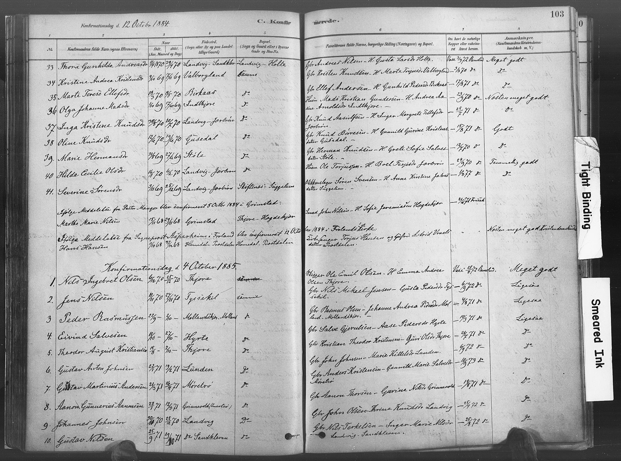 Hommedal sokneprestkontor, AV/SAK-1111-0023/F/Fa/Fab/L0006: Parish register (official) no. A 6, 1878-1897, p. 103