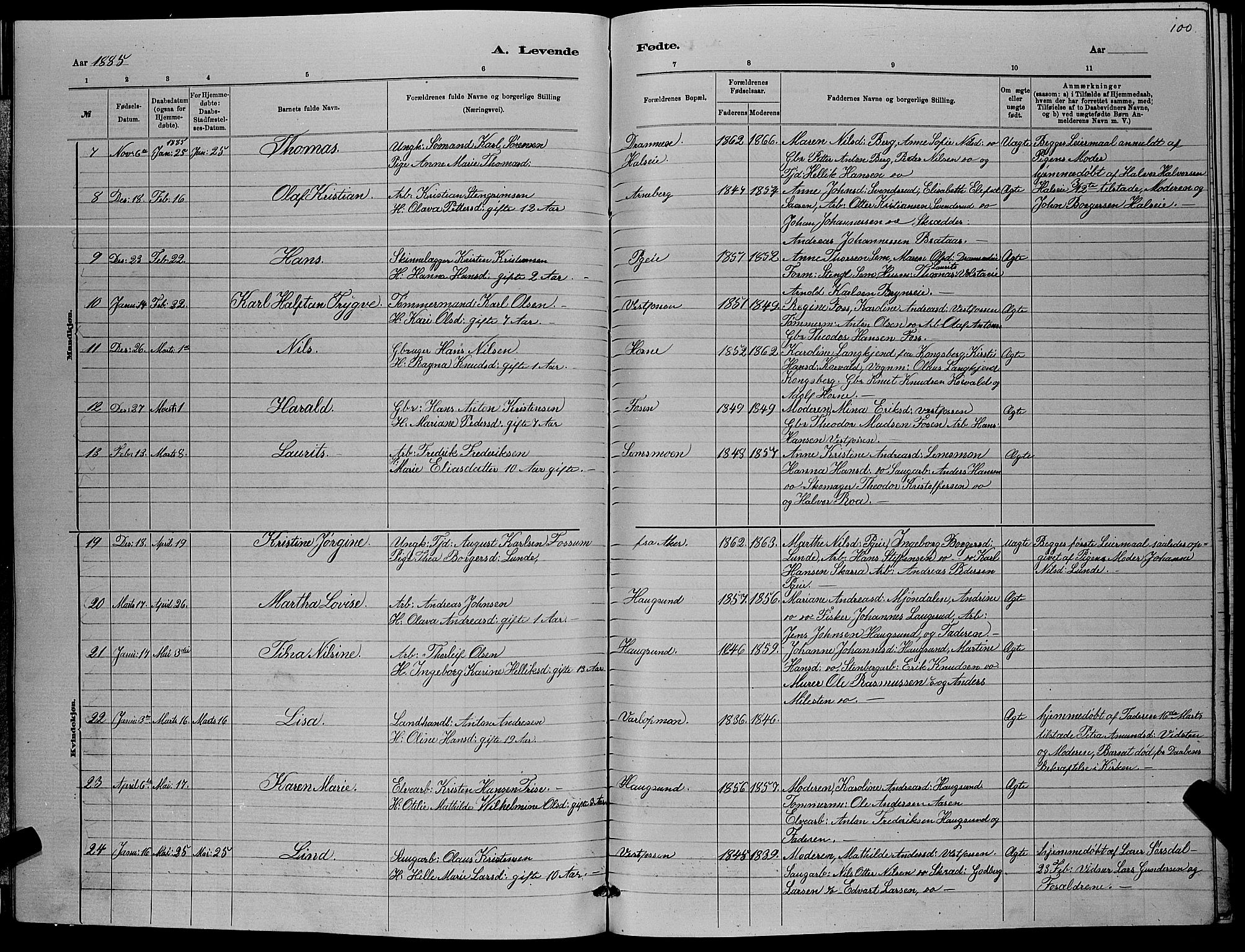 Eiker kirkebøker, AV/SAKO-A-4/G/Ga/L0005: Parish register (copy) no. I 5, 1878-1887, p. 100