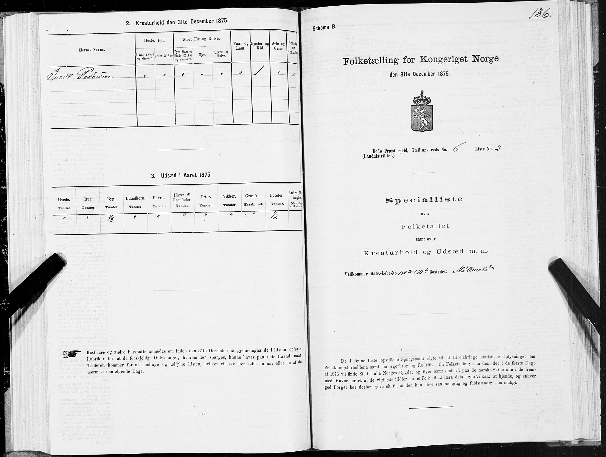 SAT, 1875 census for 1843L Bodø/Bodø, 1875, p. 3136