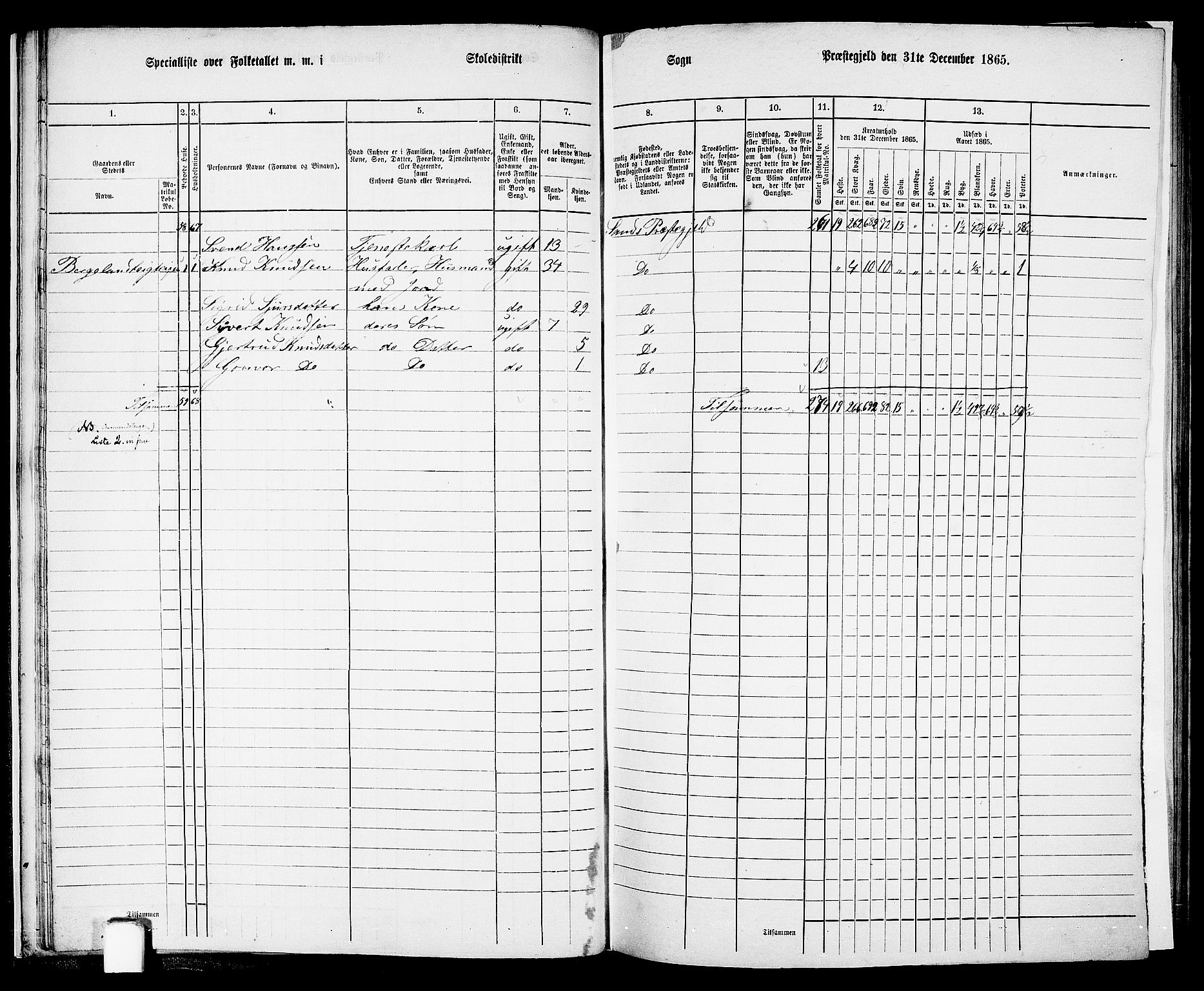 RA, 1865 census for Sand, 1865, p. 21