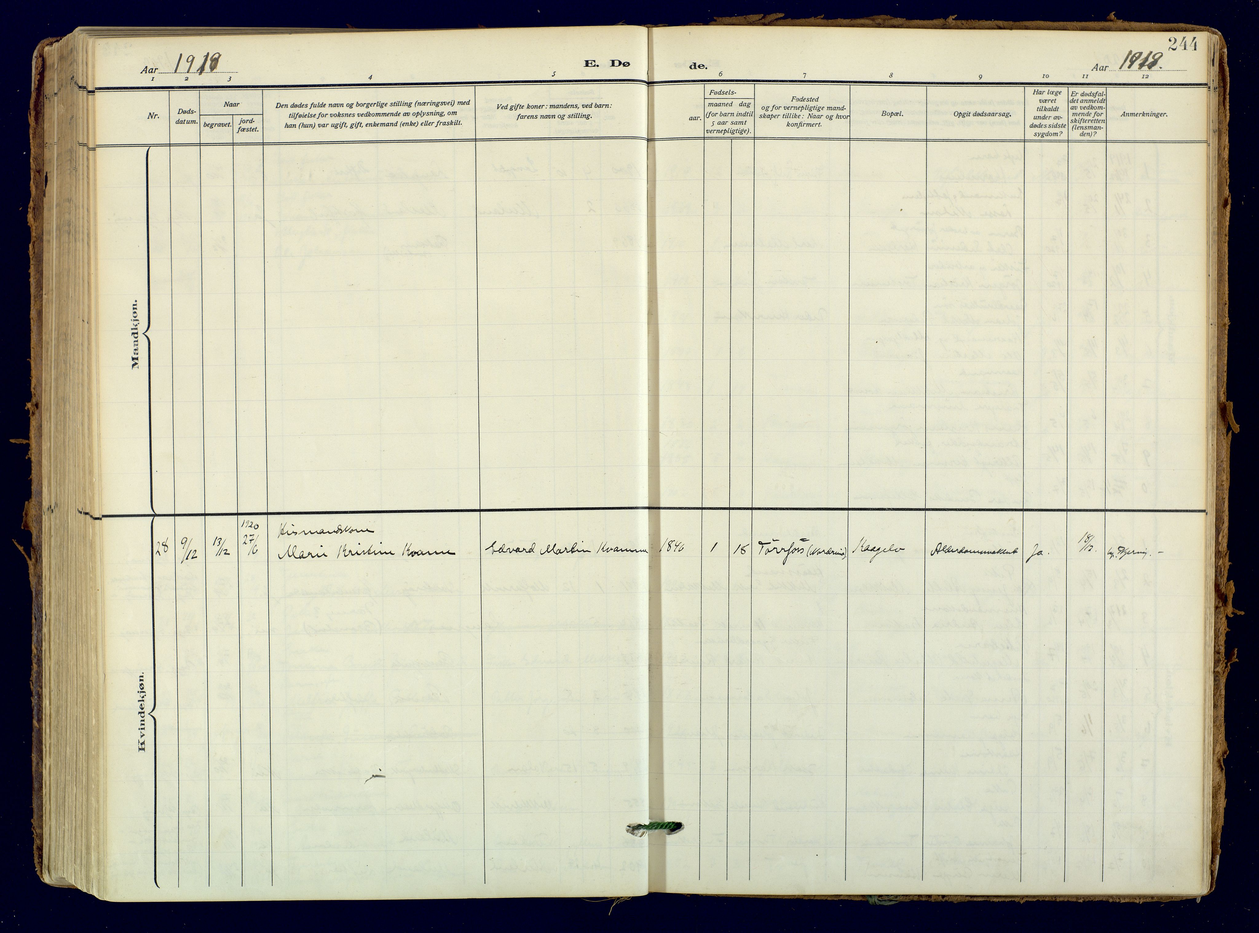 Skjervøy sokneprestkontor, SATØ/S-1300/H/Ha/Haa: Parish register (official) no. 18, 1910-1926, p. 244