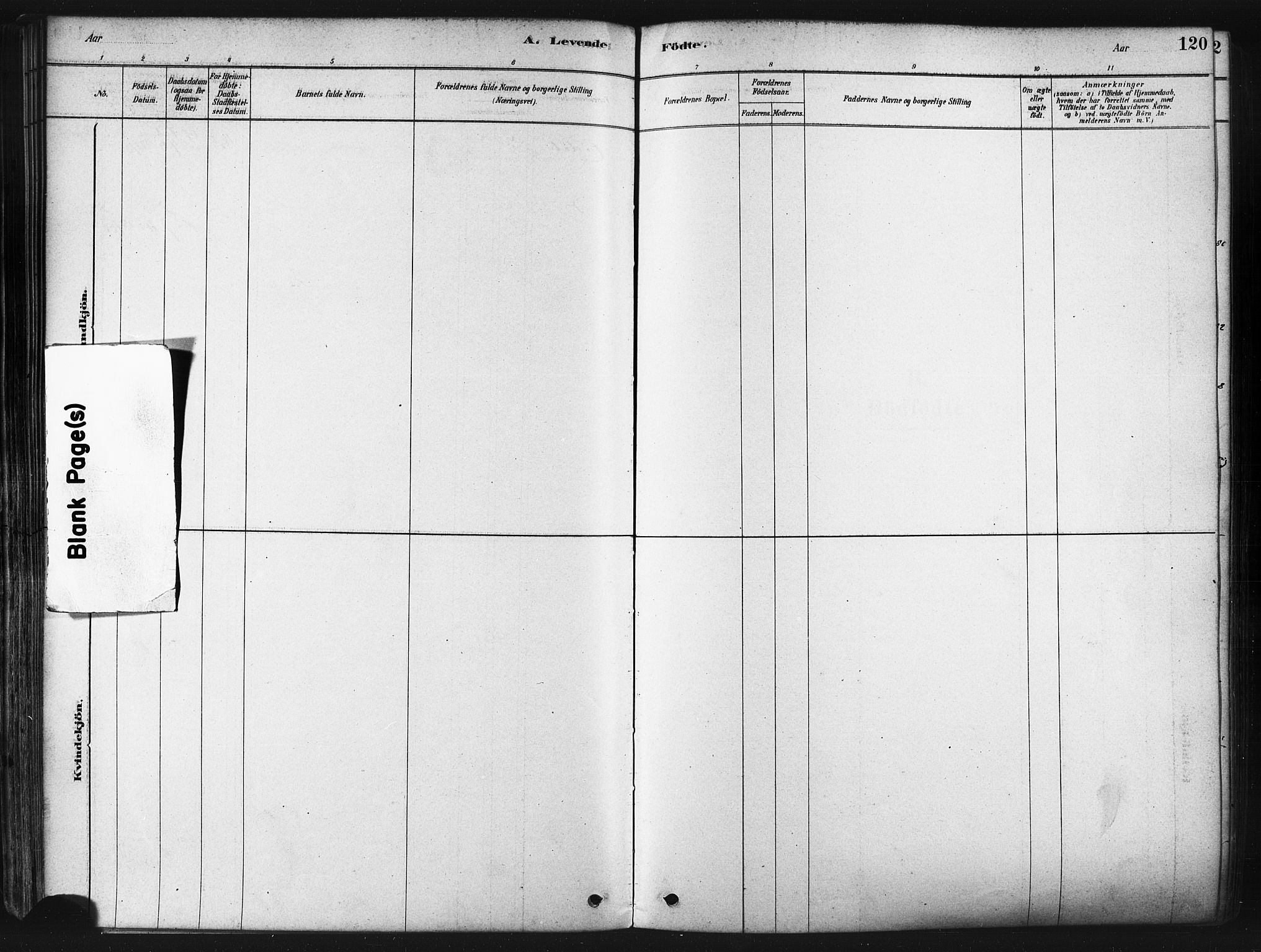 Tranøy sokneprestkontor, AV/SATØ-S-1313/I/Ia/Iaa/L0009kirke: Parish register (official) no. 9, 1878-1904, p. 120